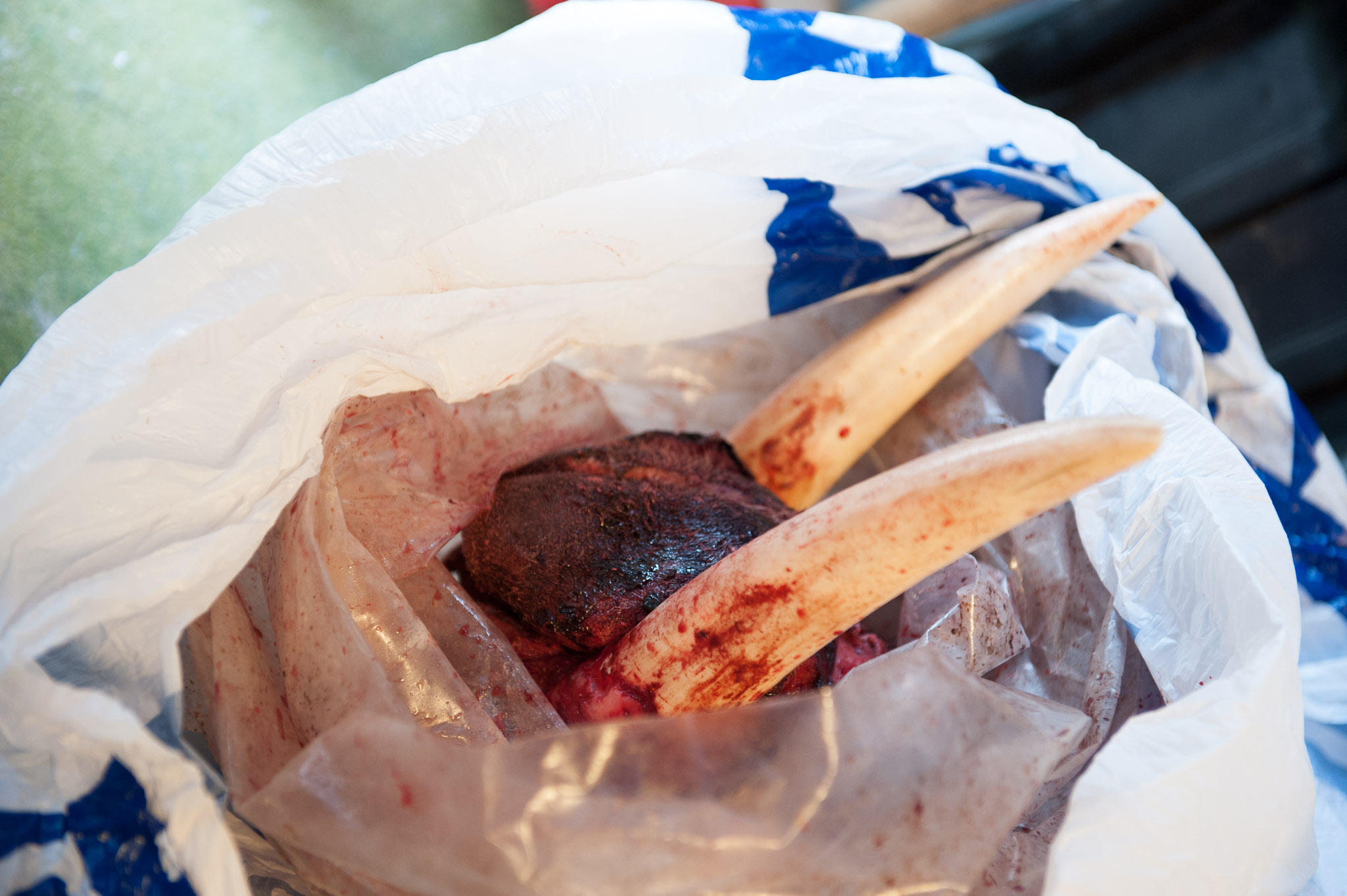 20120324-1702-0151.jpg