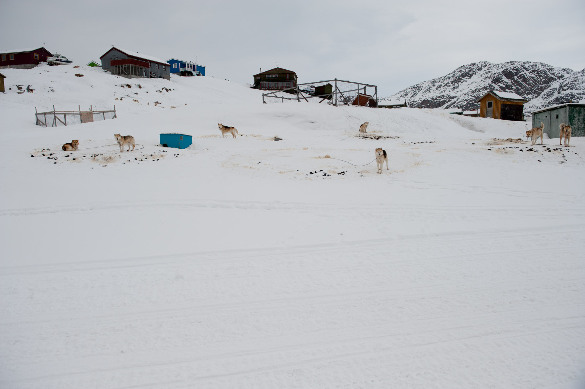 20120324-2046-0163.jpg