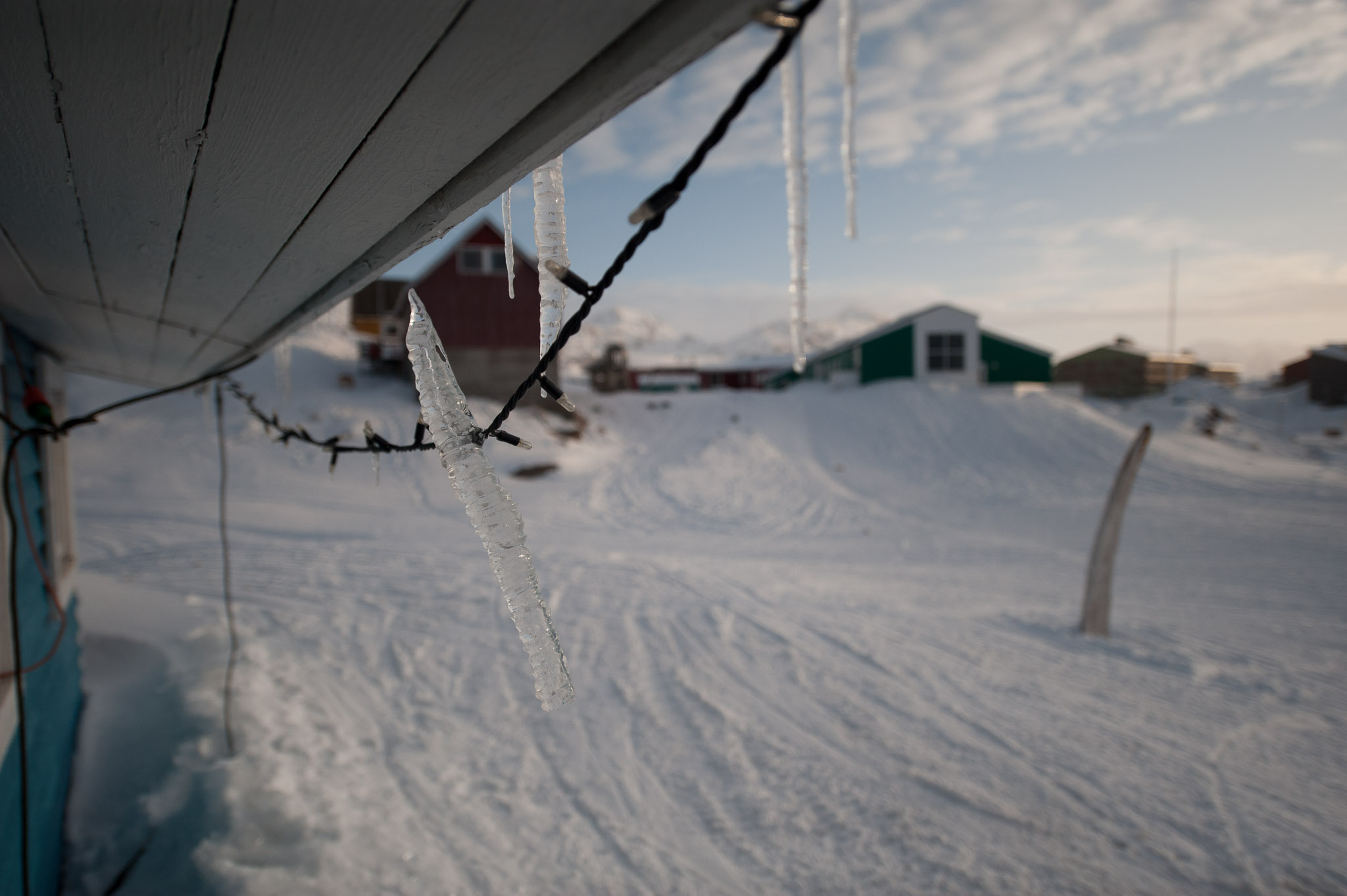 20120326-1237-0373.jpg