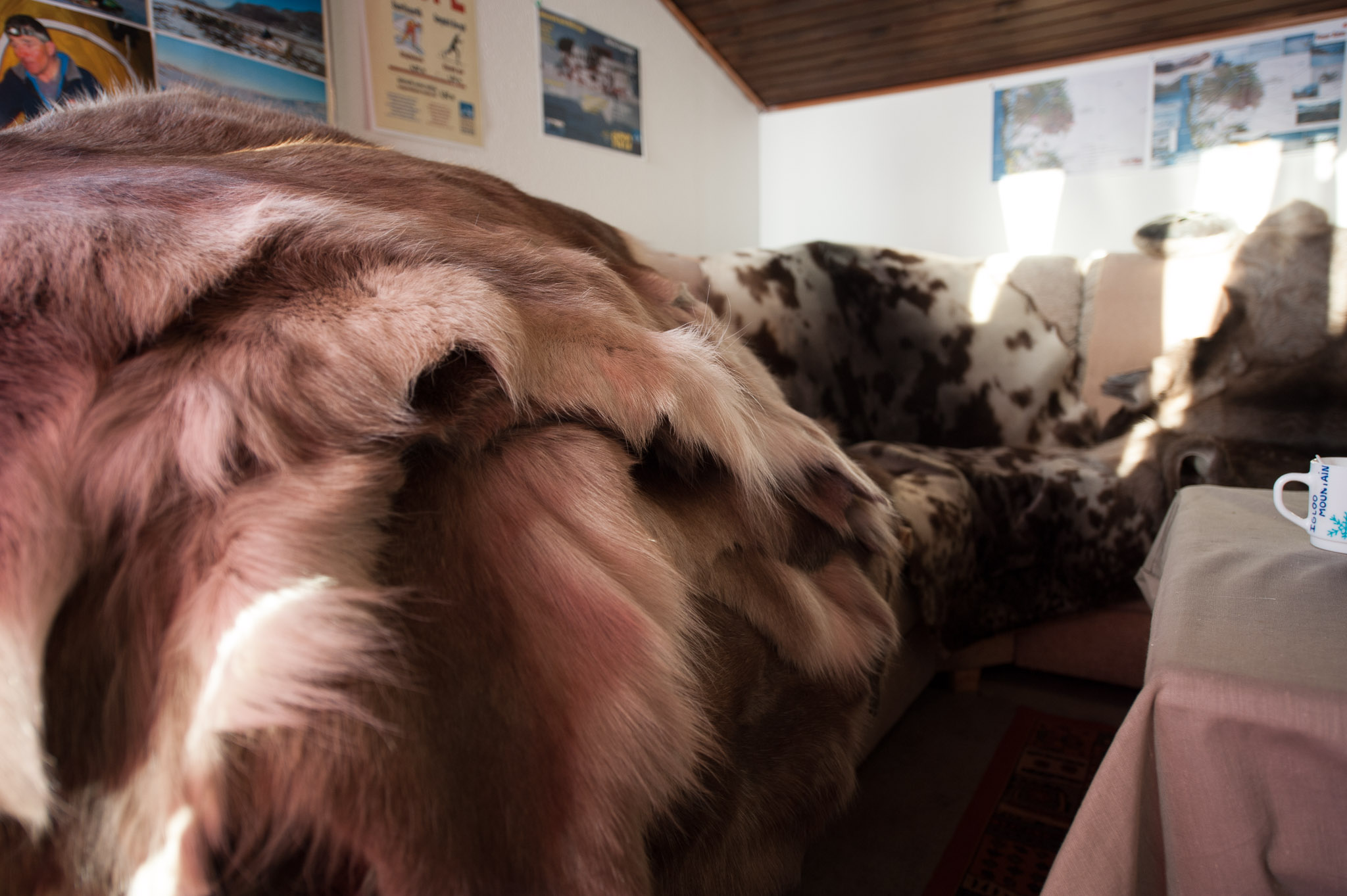 20120326-1240-0375.jpg
