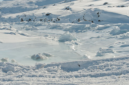 20110409-1114-621.jpg