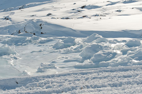 20110409-1114-622.jpg