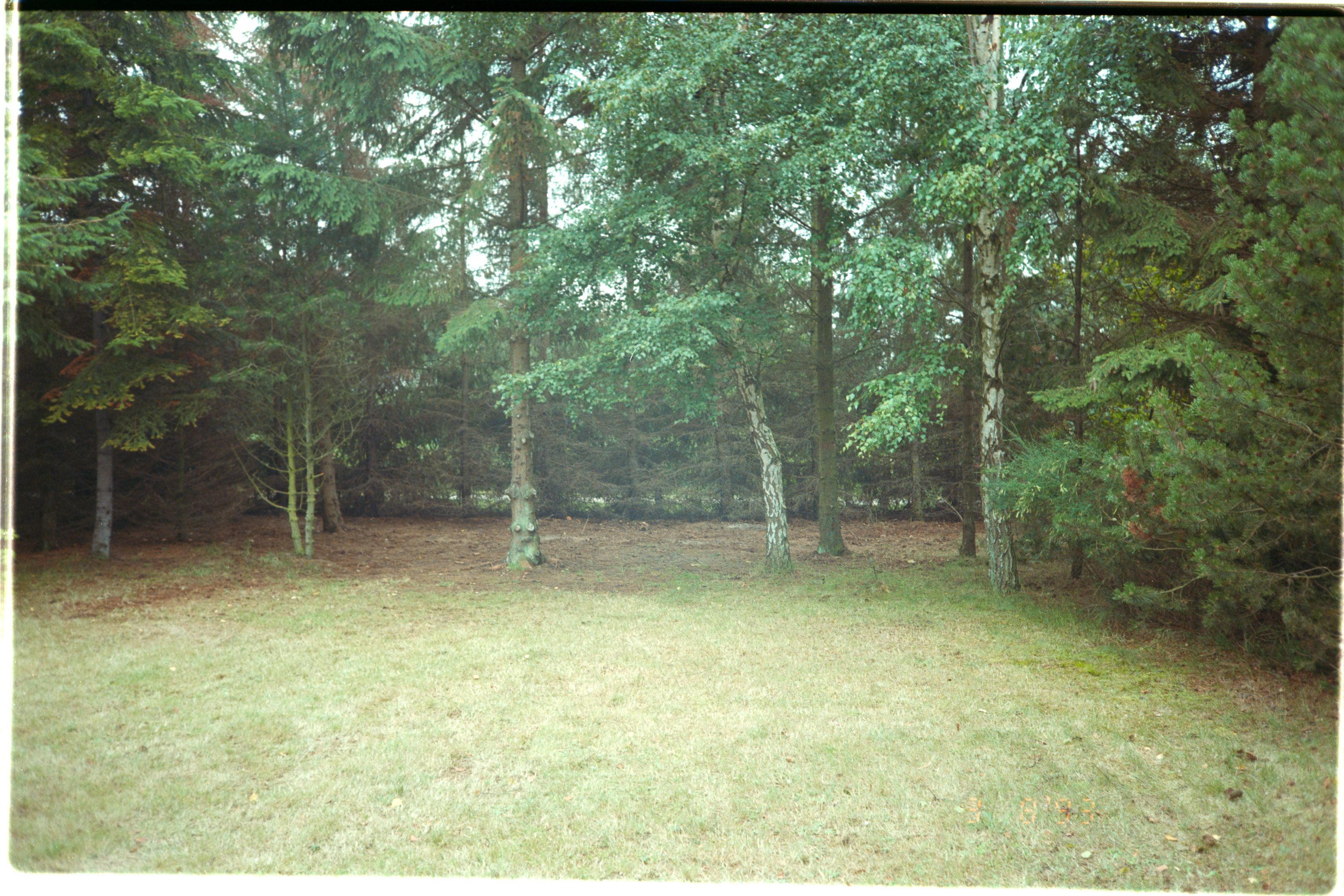20200809-1636-017.jpg