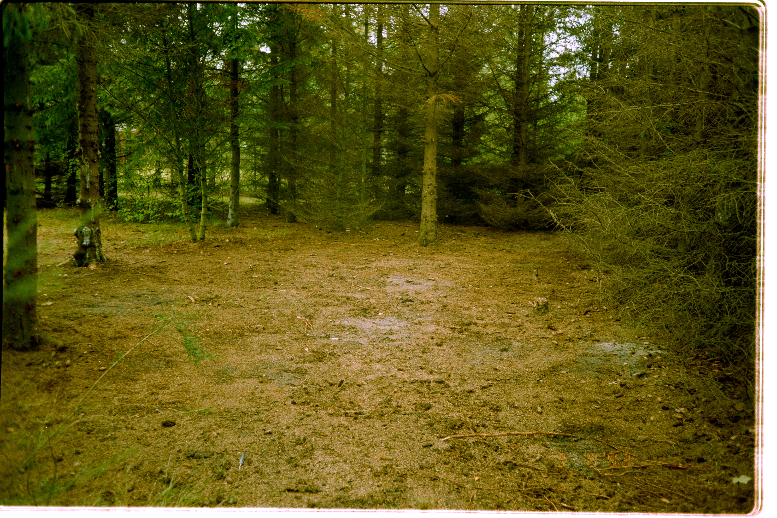 20200809-1722-031.jpg