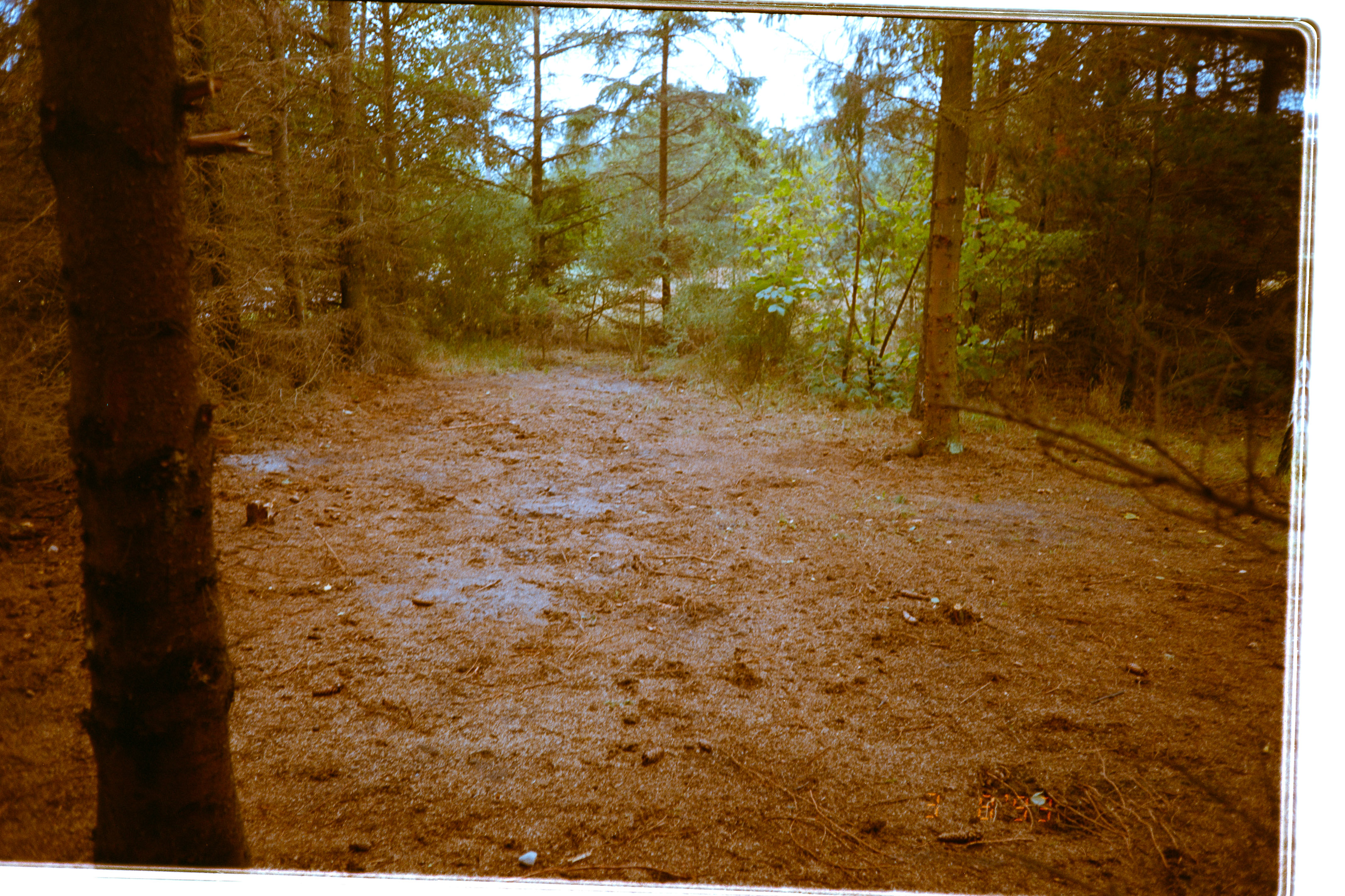 20200809-1722-038.jpg