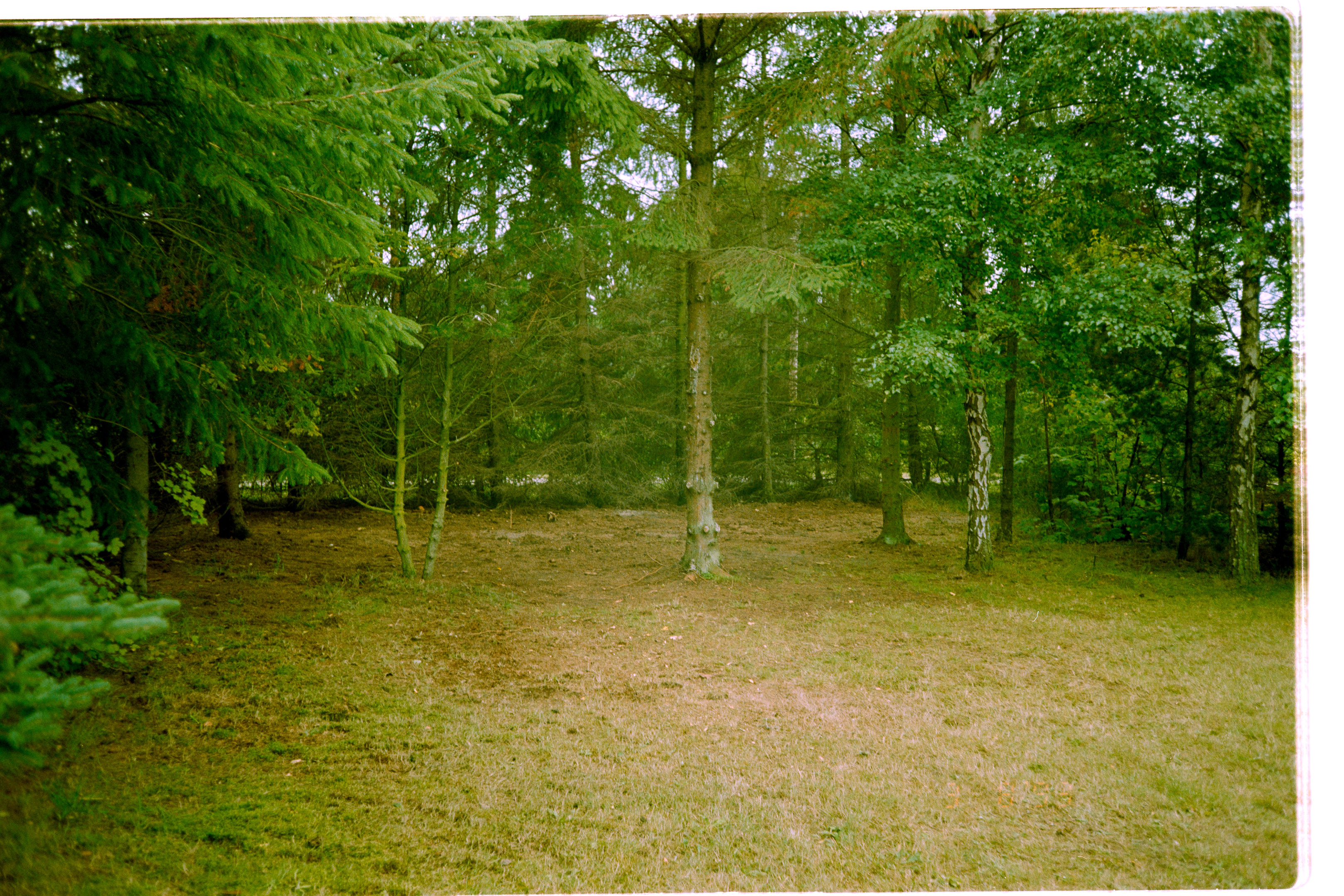20200809-1722-041.jpg