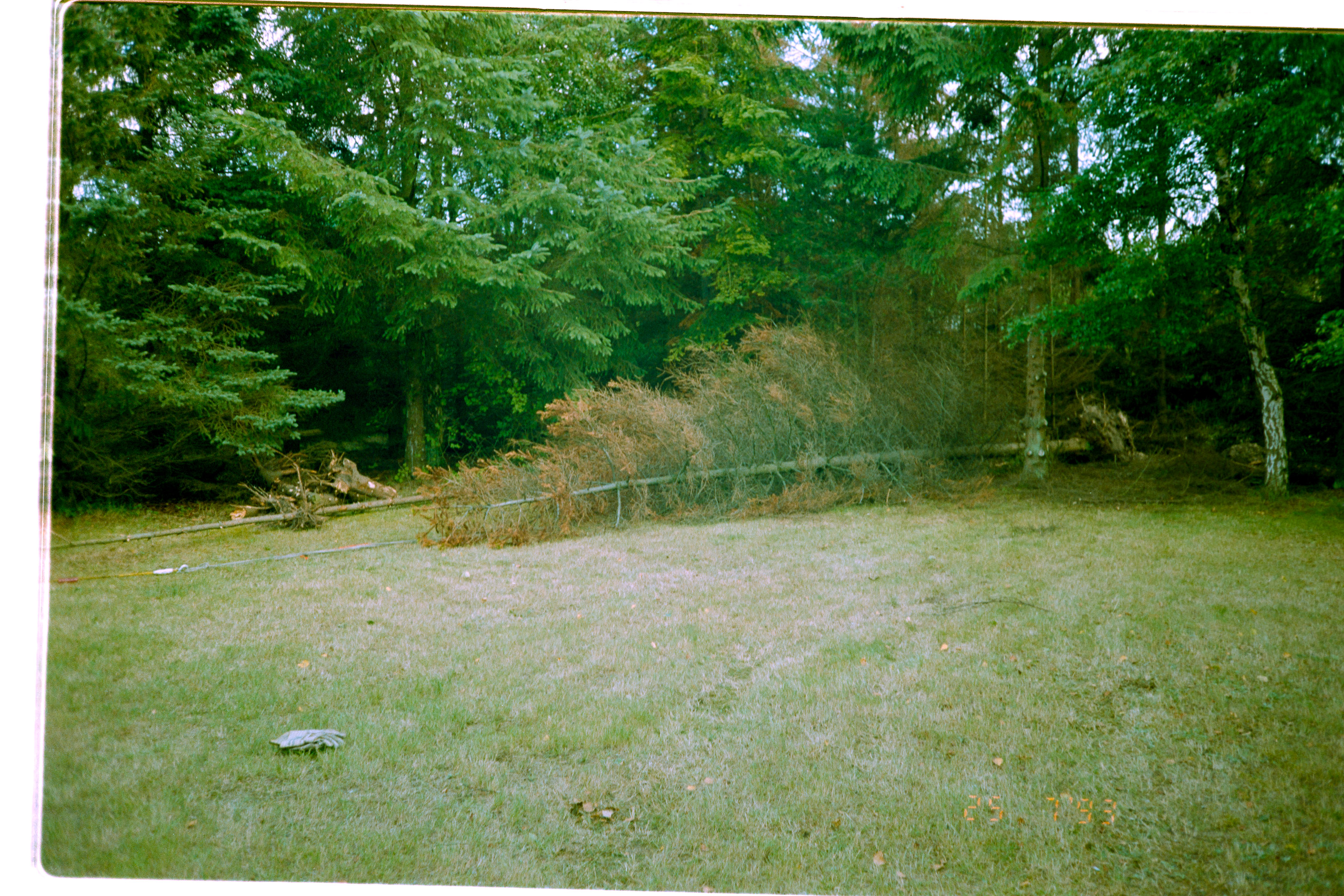 20200809-1723-006.jpg