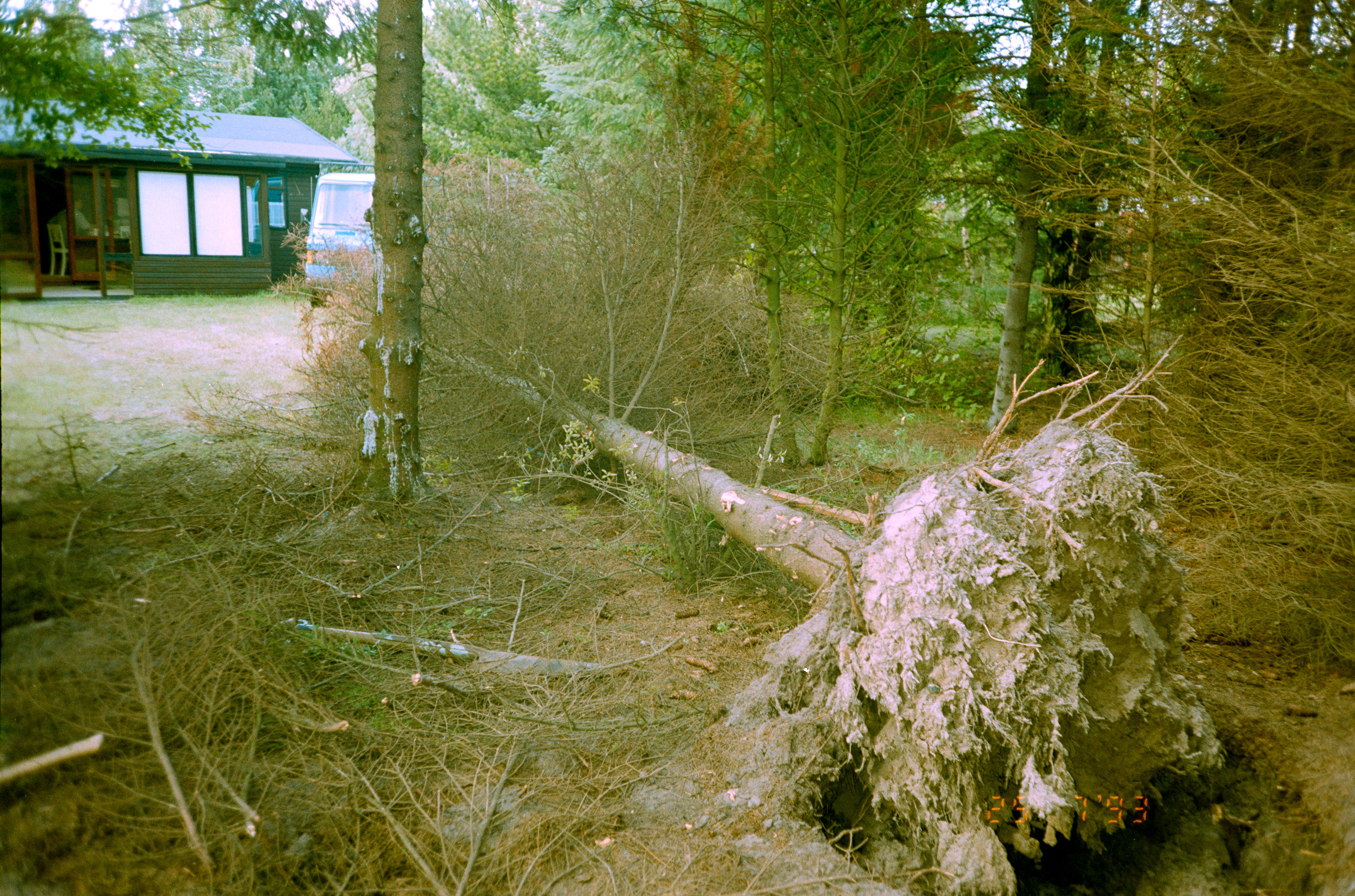 20200809-1723-034.jpg
