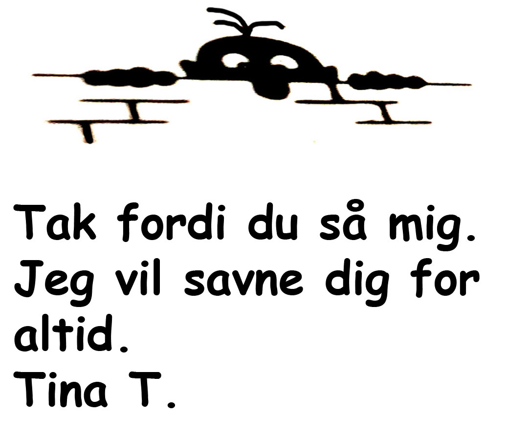 Tina-besked.jpg