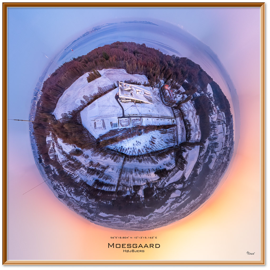ATuxen_Moesgaard-ukut_50x50cm.jpg