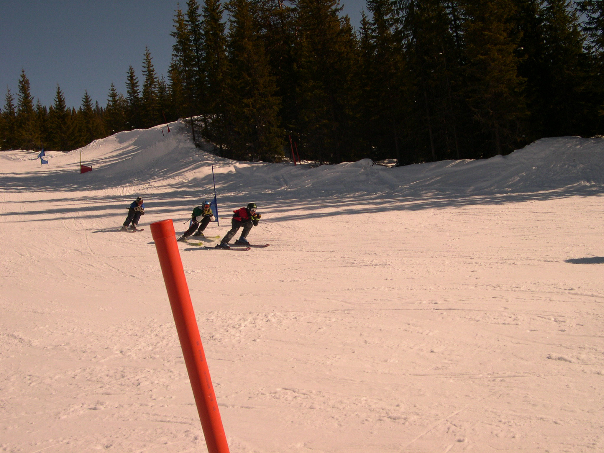DSCN1421.jpg