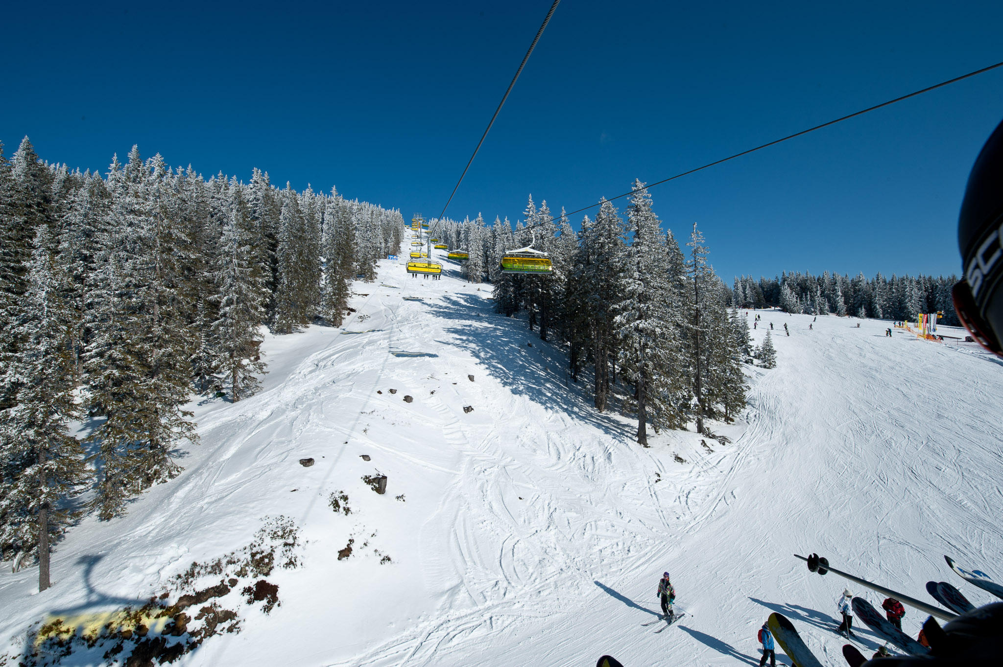 20110321-237.jpg