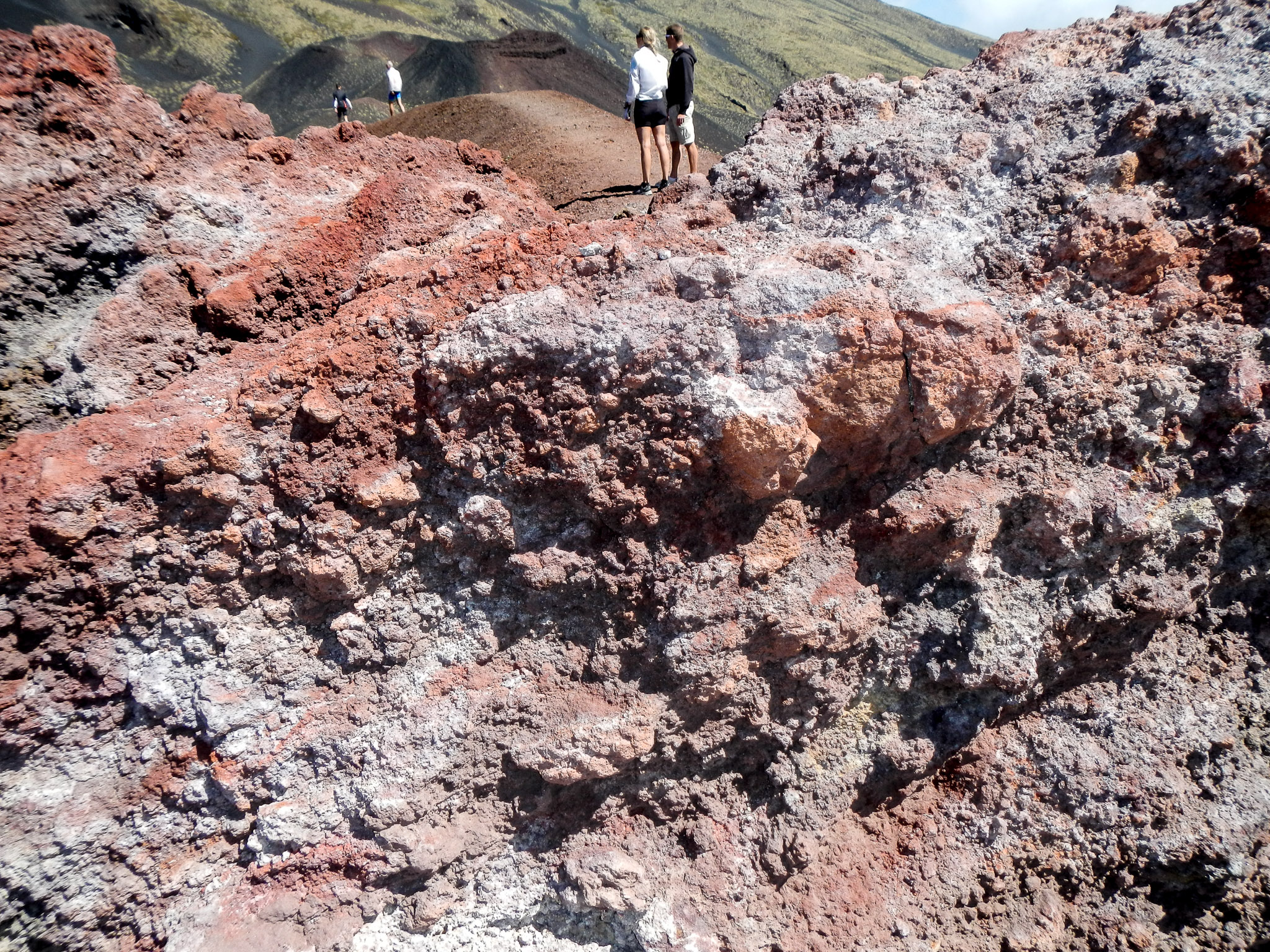 20120913-1206-0228.jpg