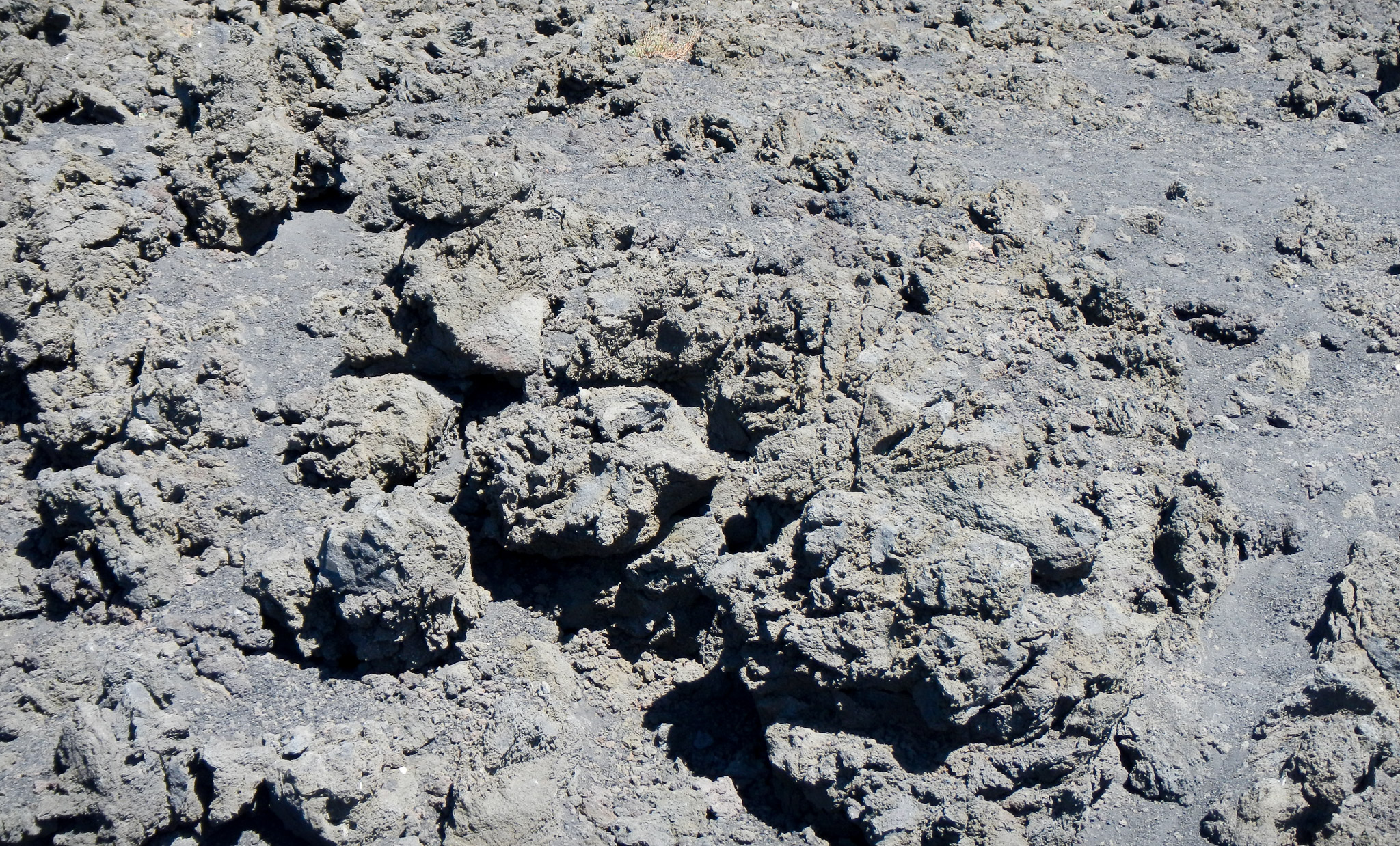 20120913-1212-0237.jpg