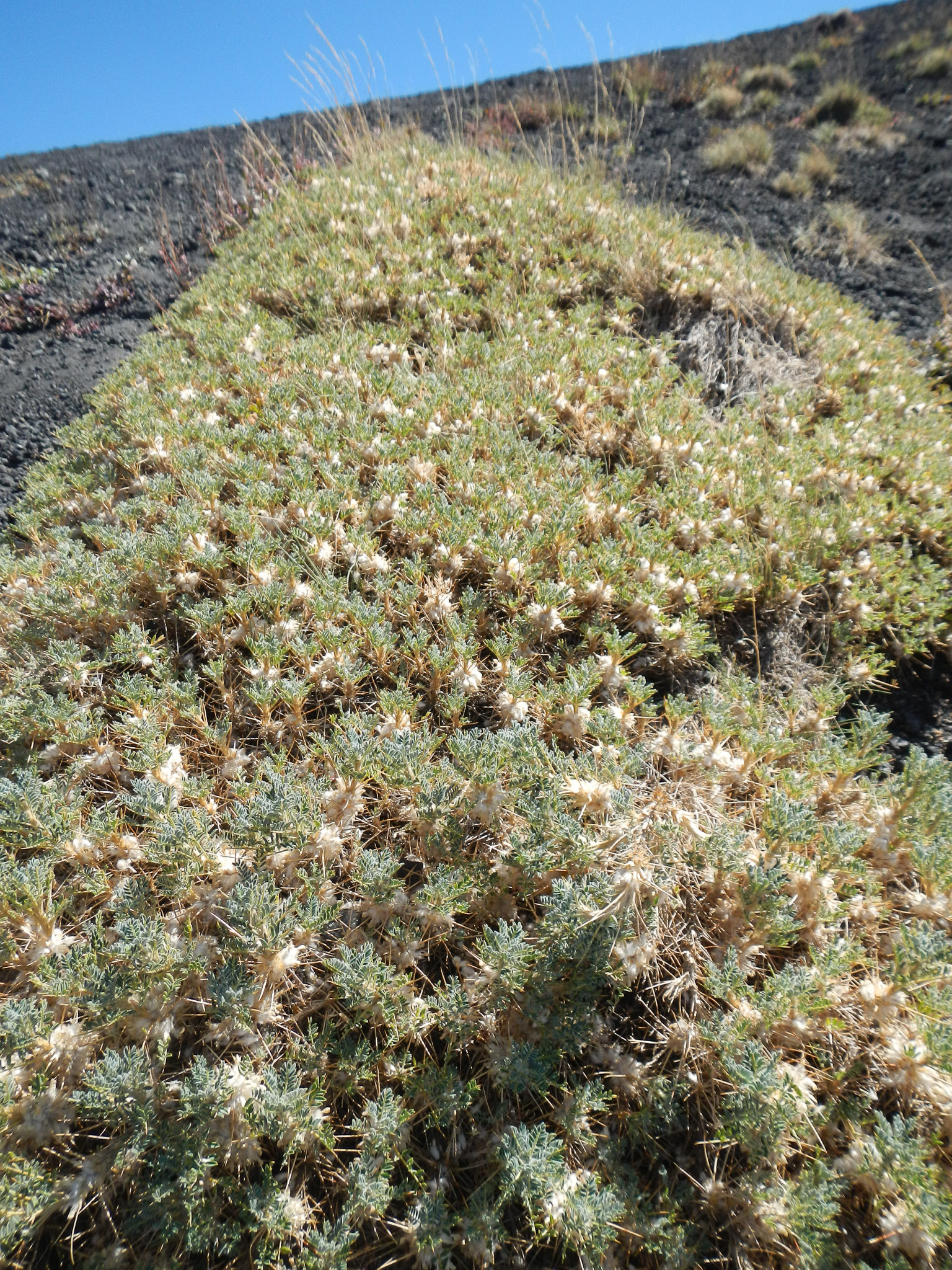 20120913-1221-0249.jpg