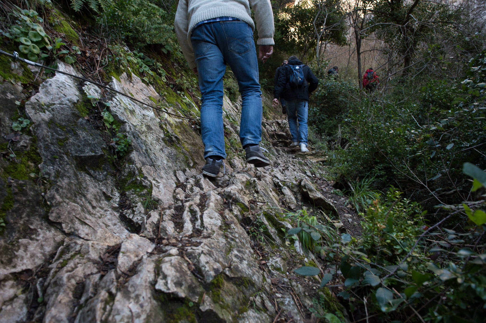 20130313-1314-0131.jpg