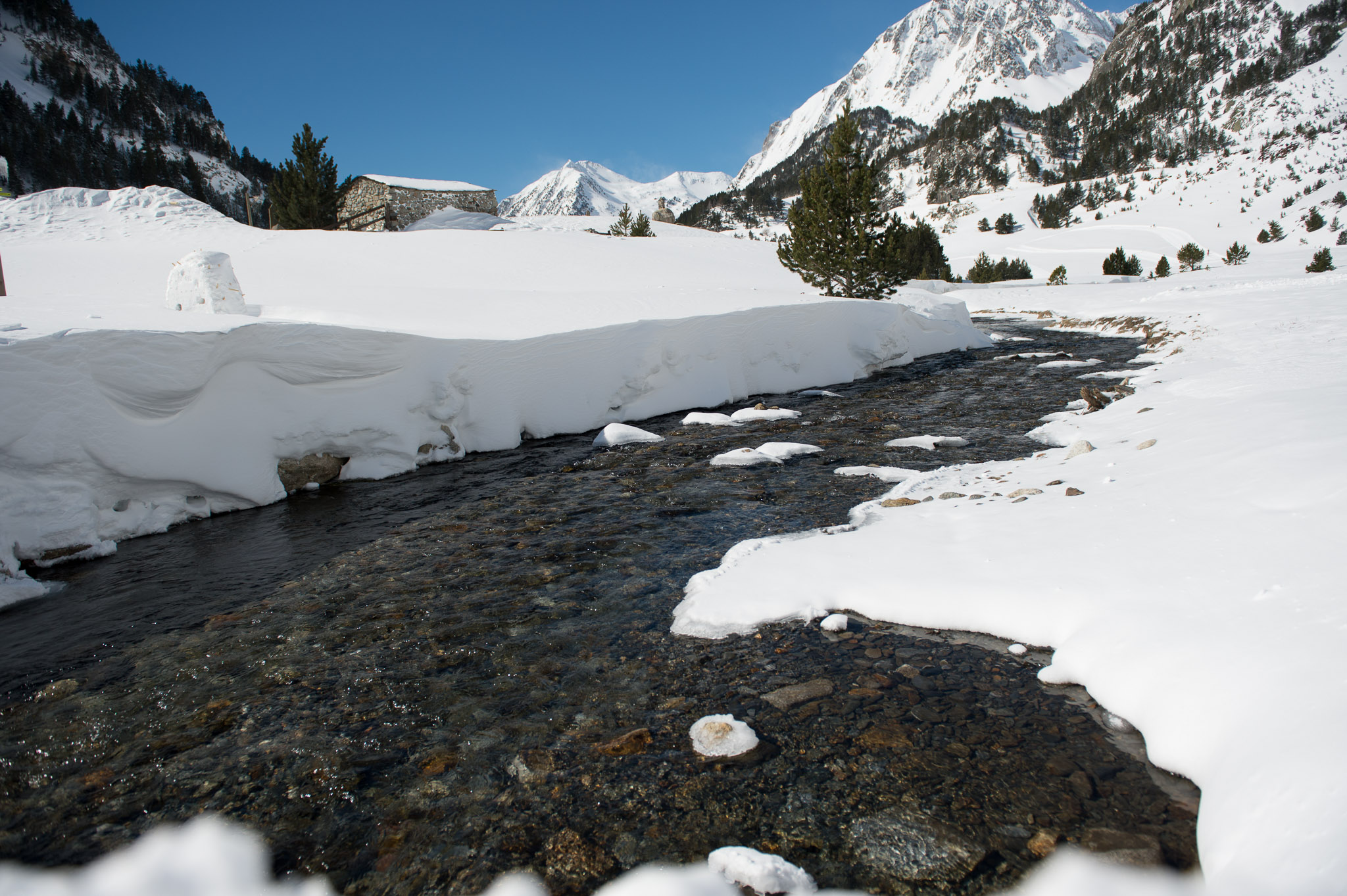 20130315-1116-0346.jpg