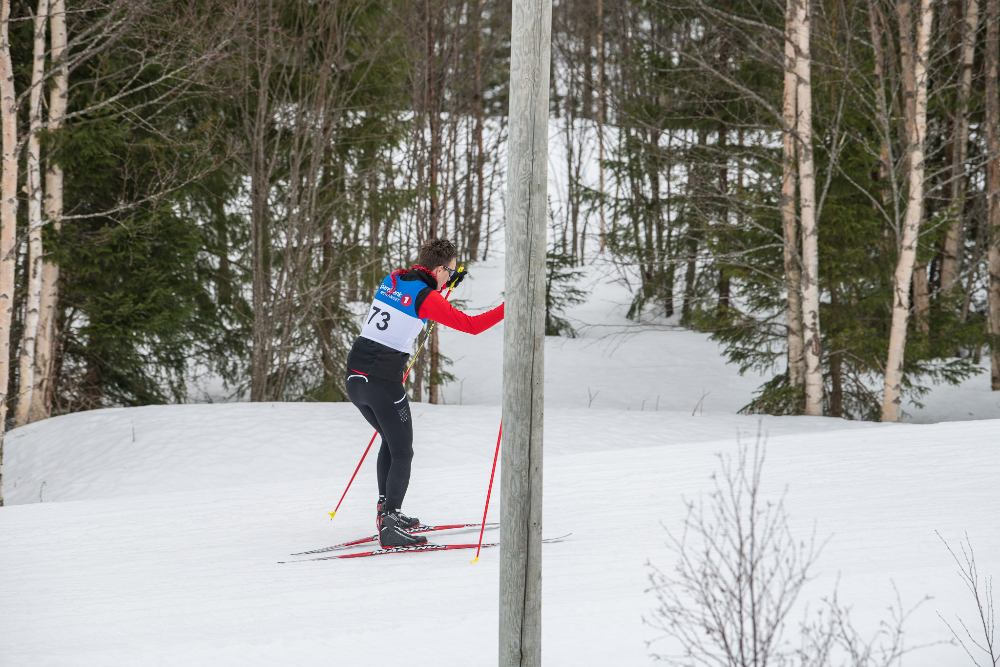 20190330-1131-114.jpg