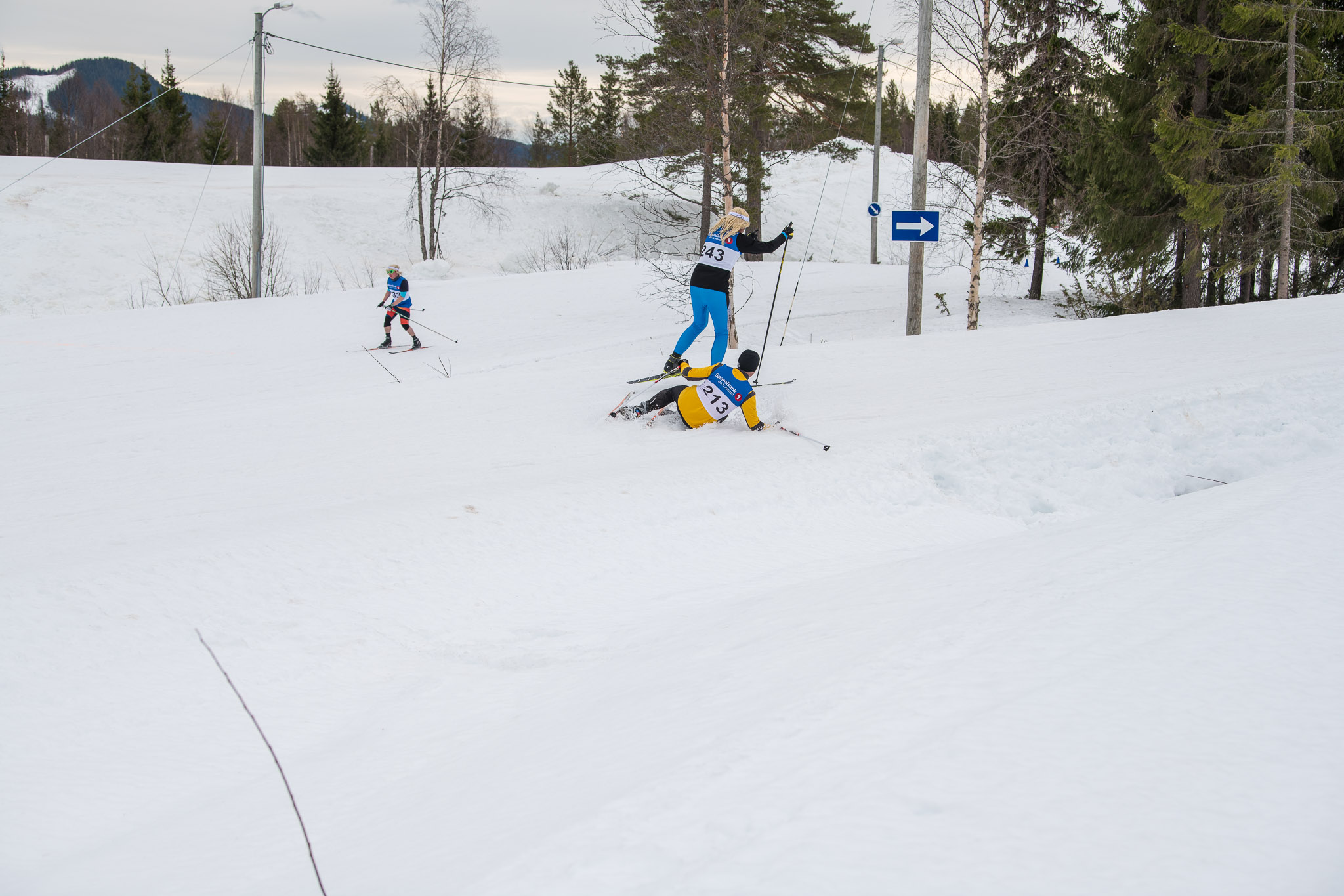 20190330-1138-154.jpg