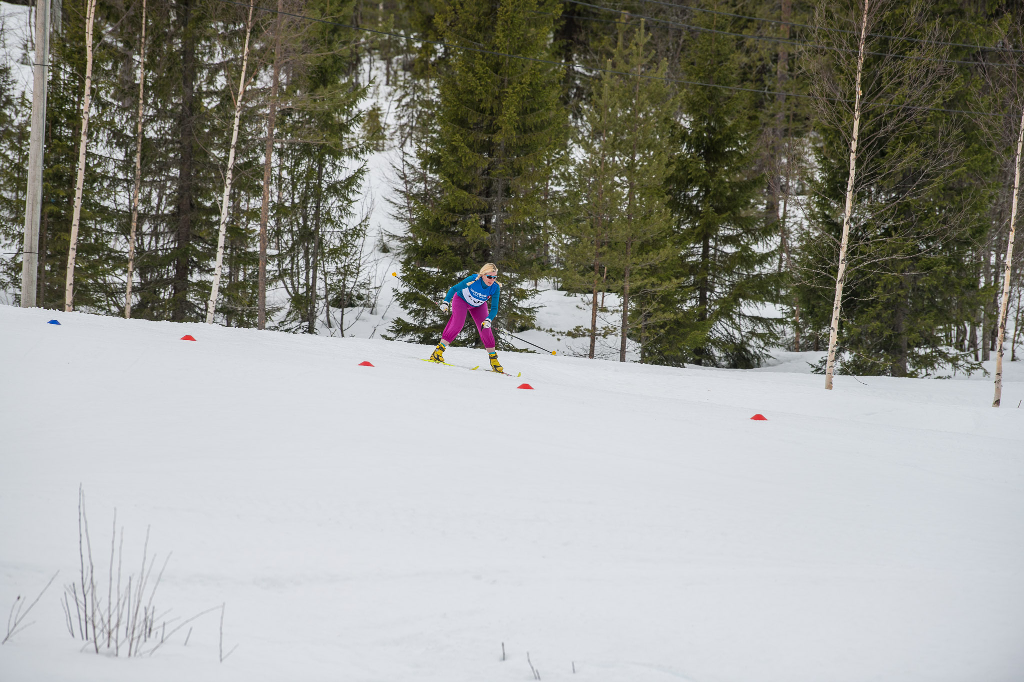 20190330-1138-168.jpg