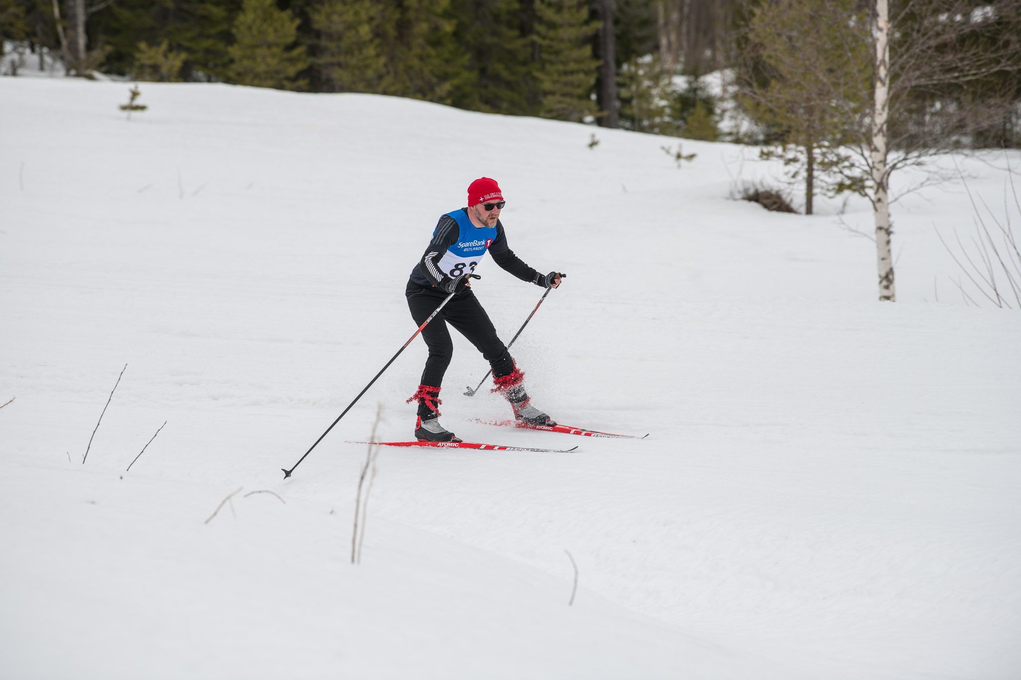 20190330-1140-181.jpg