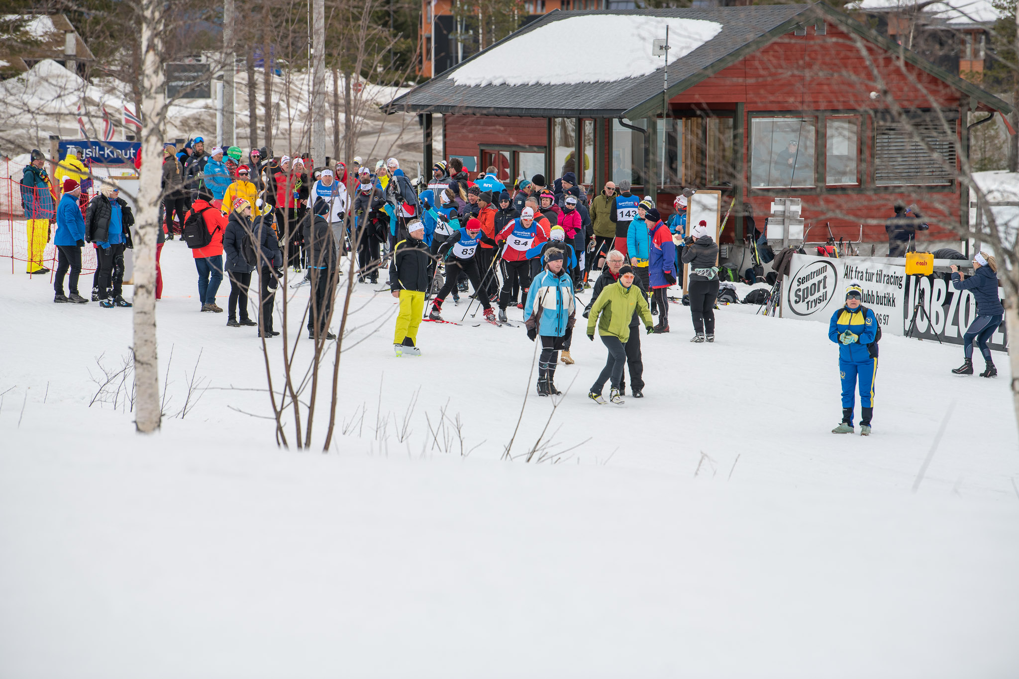 20190330-1143-204.jpg