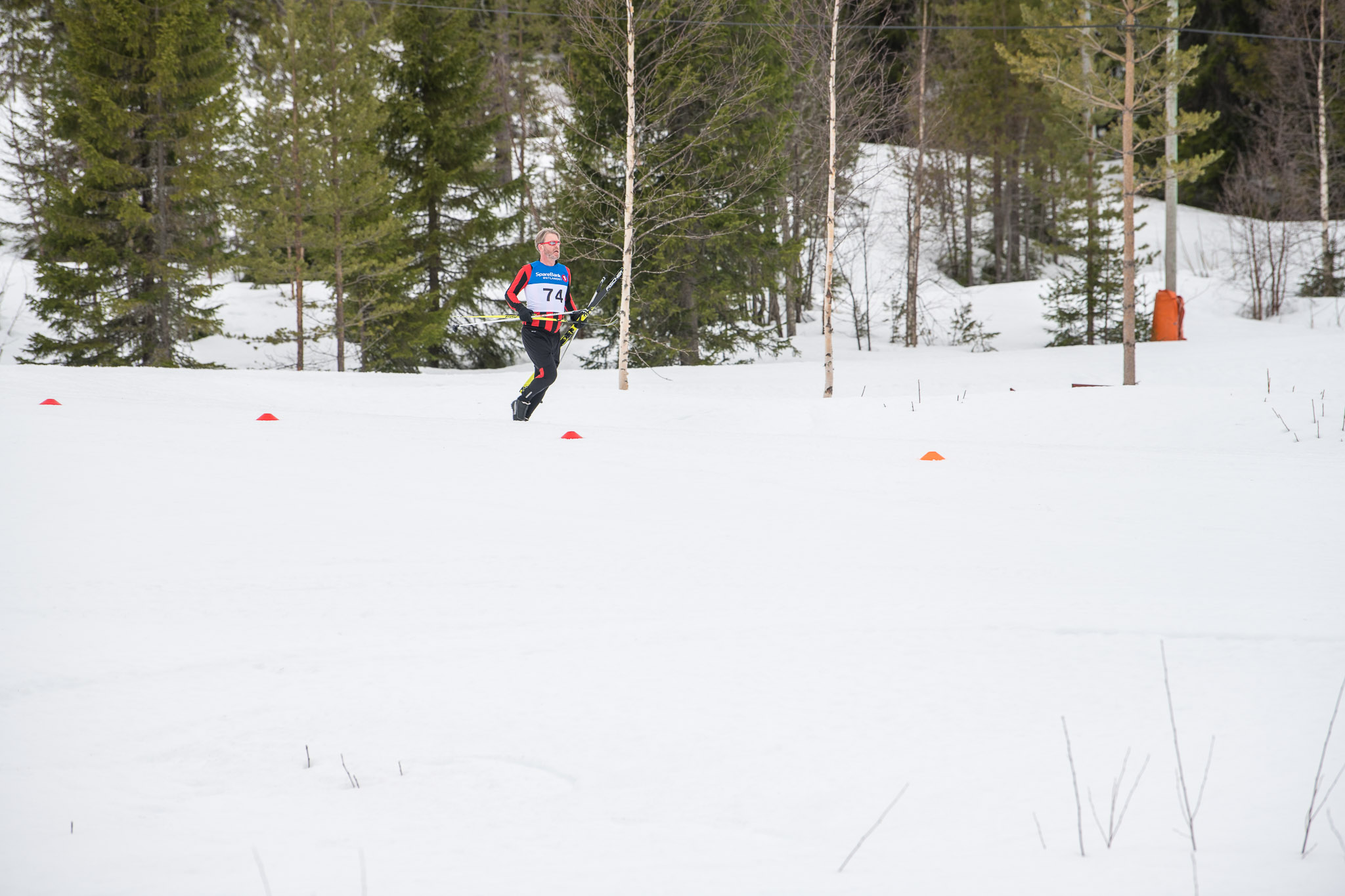 20190330-1145-215.jpg