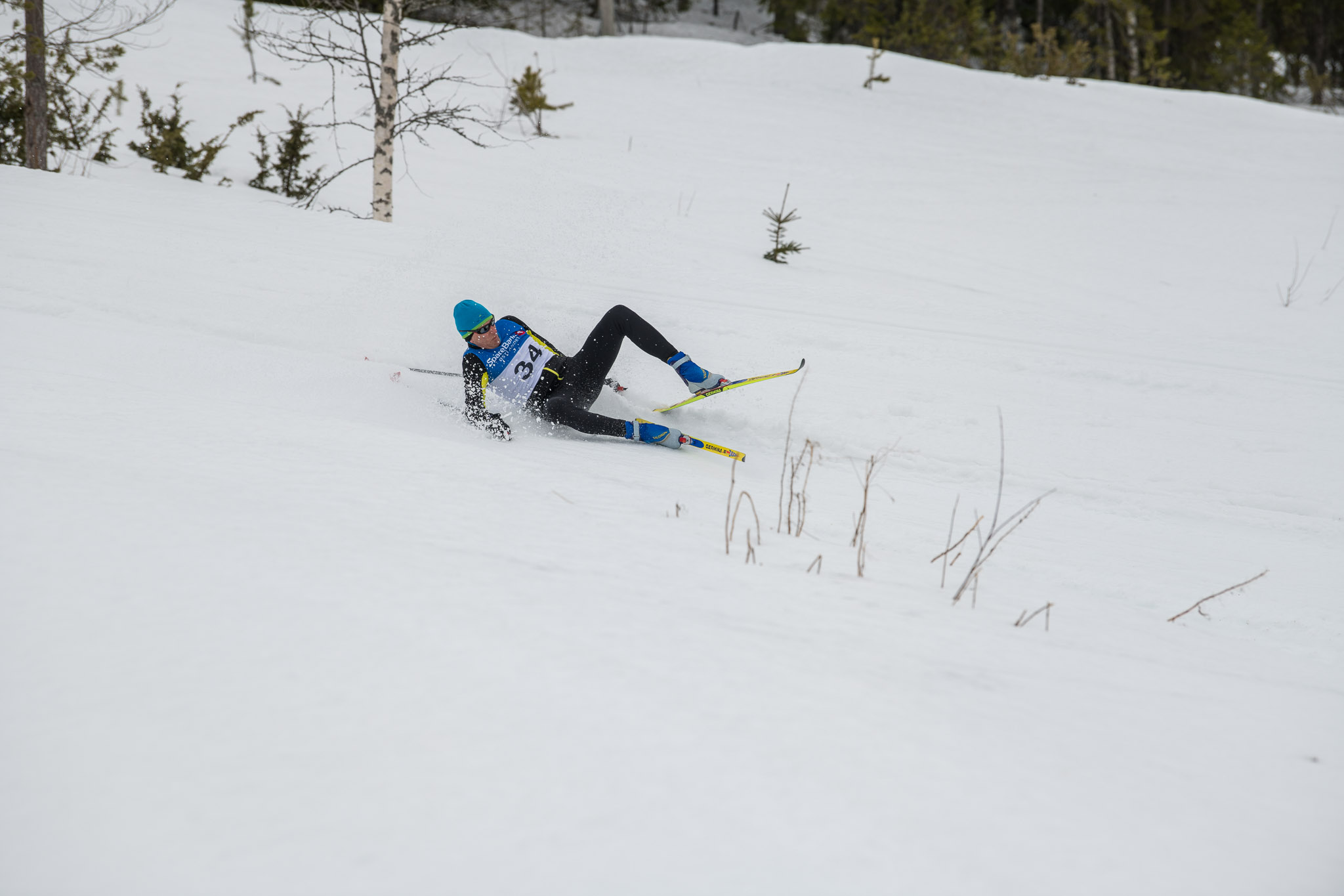 20190330-1147-260.jpg