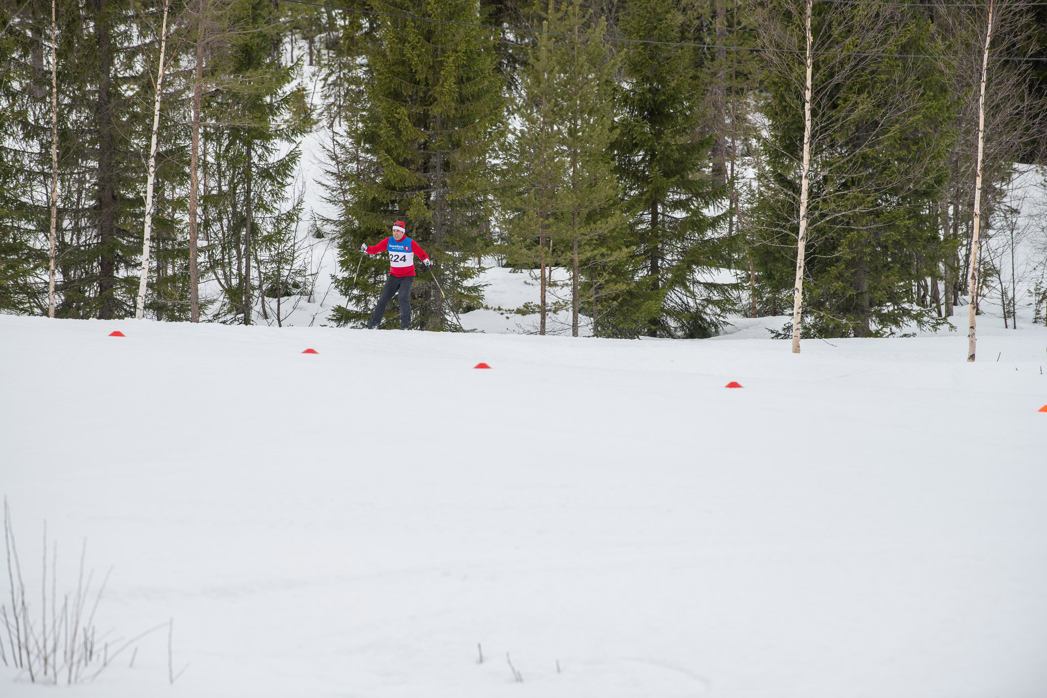20190330-1148-268.jpg