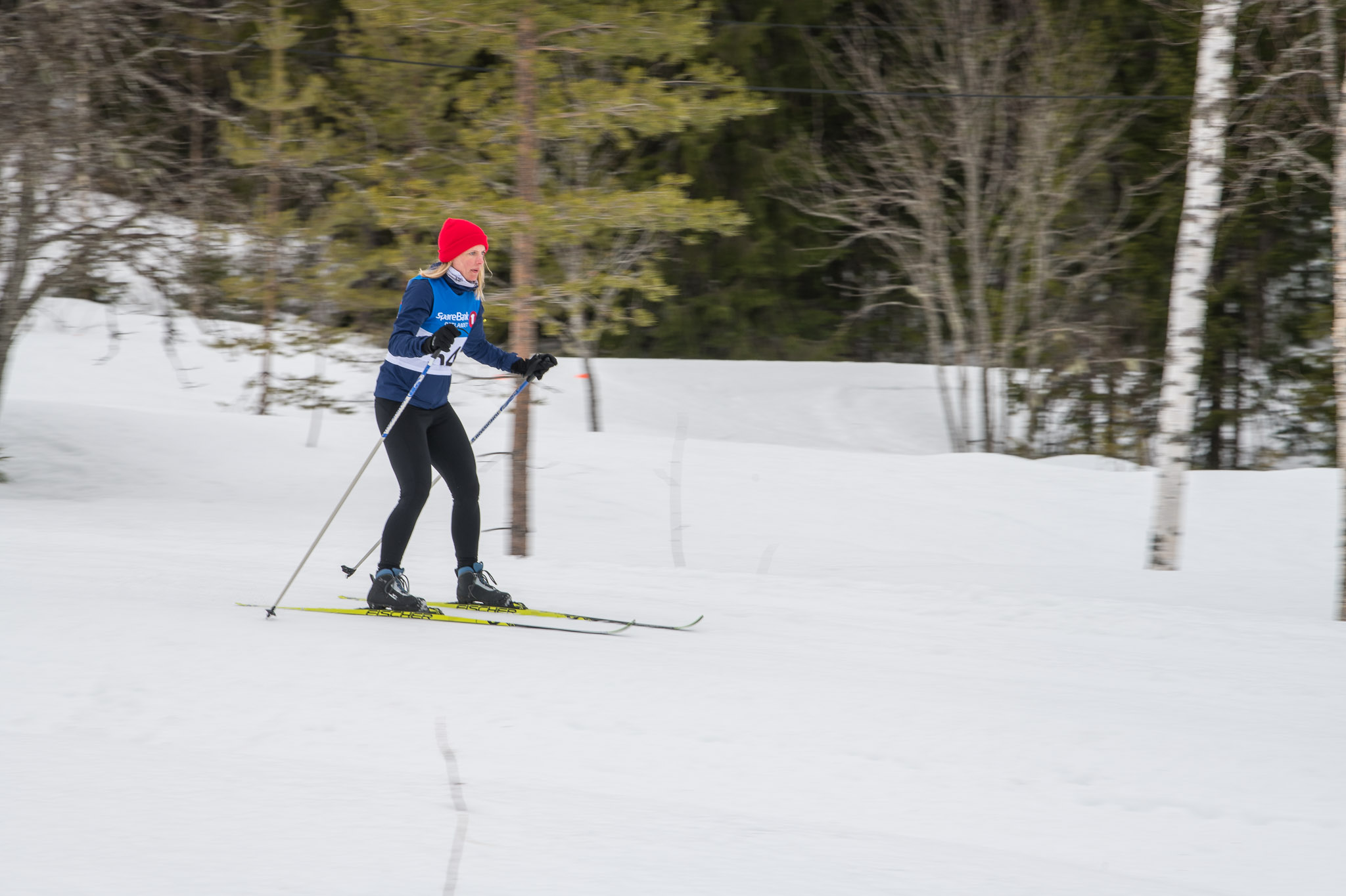 20190330-1153-289.jpg
