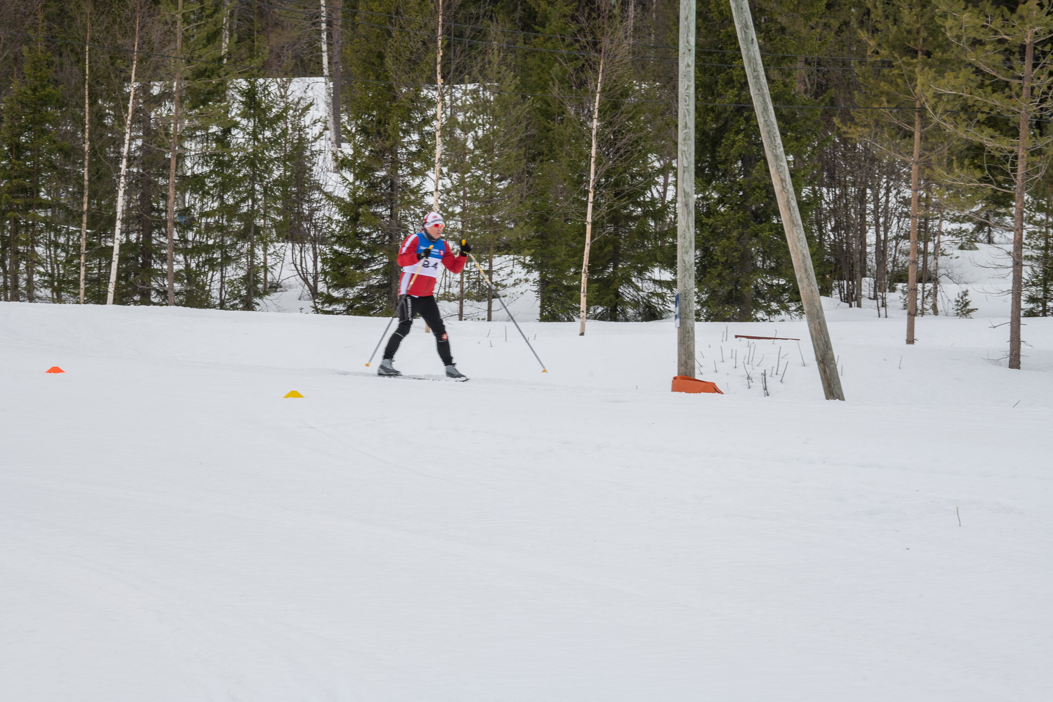 20190330-1154-337.jpg