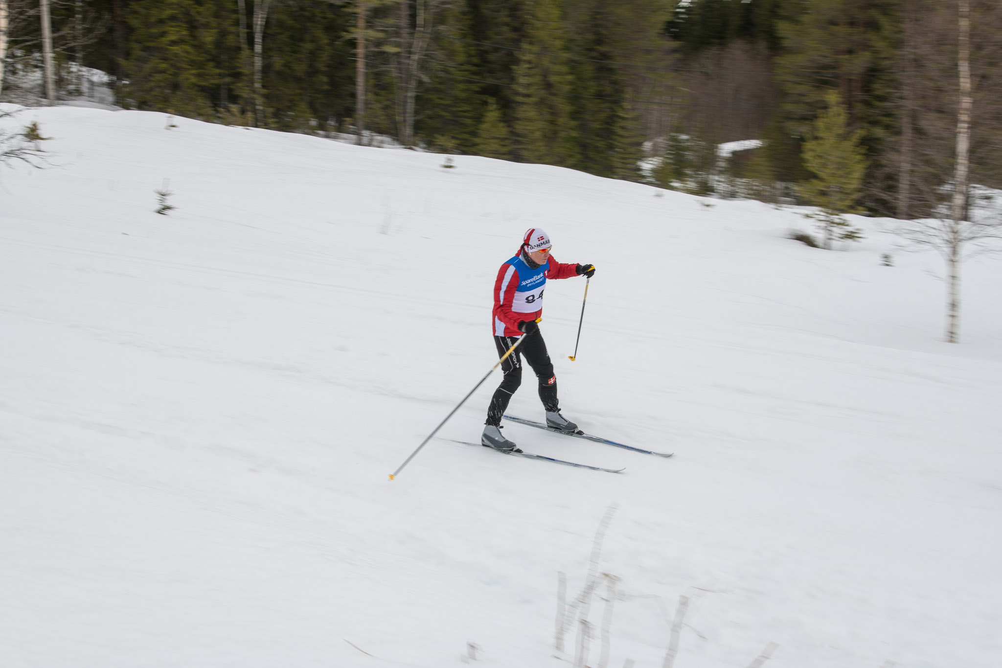 20190330-1154-340.jpg