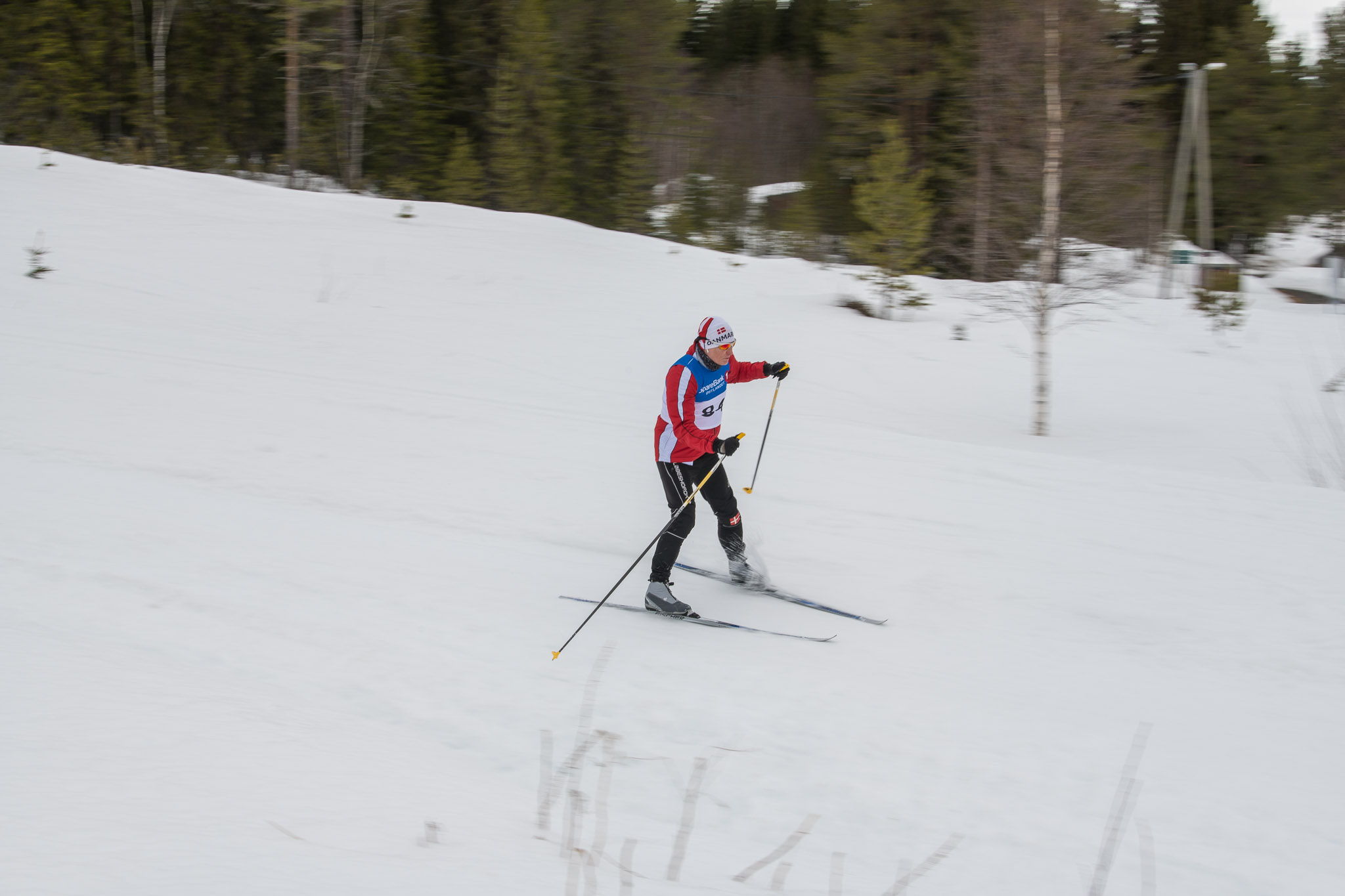 20190330-1154-341.jpg