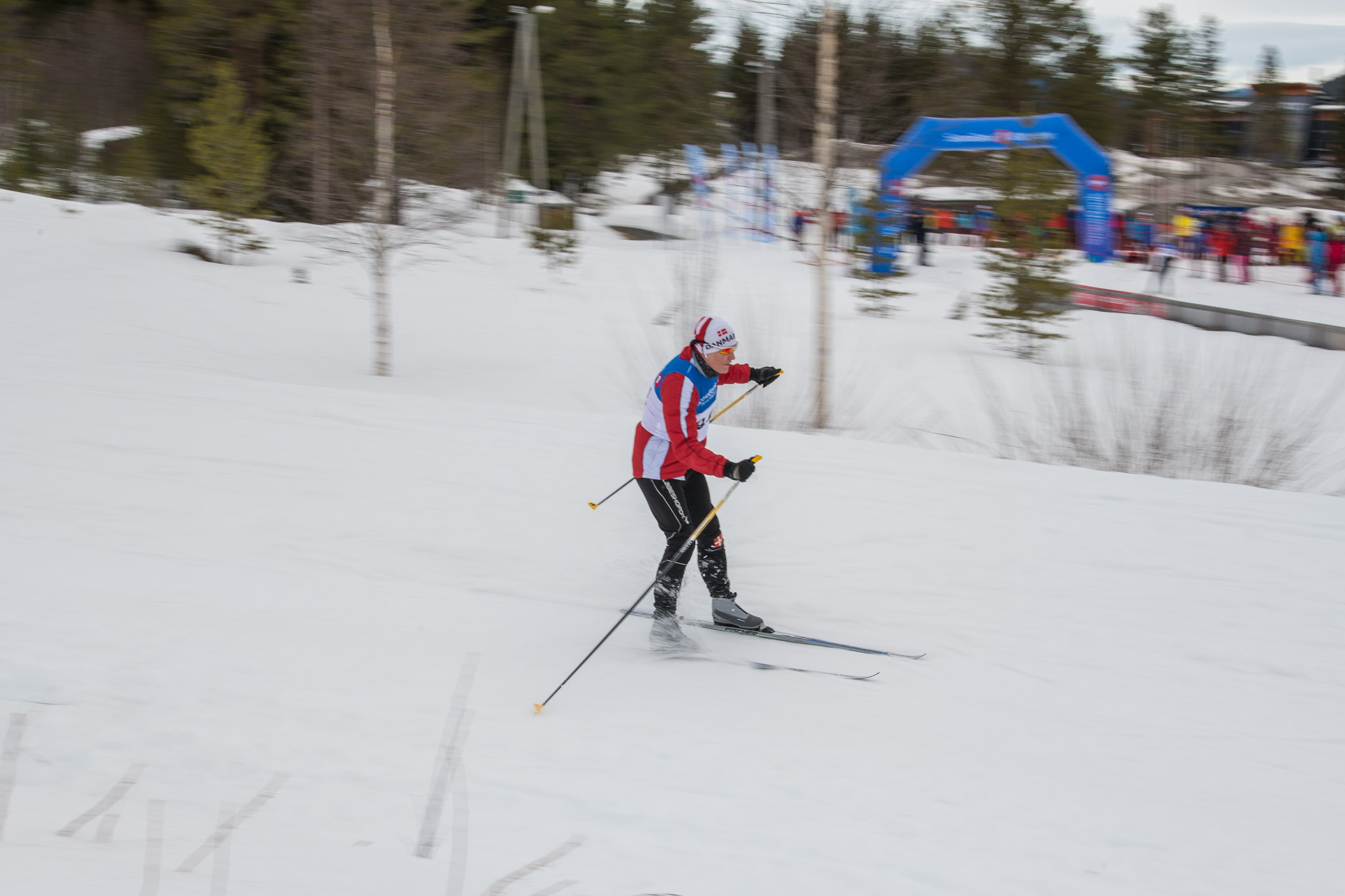 20190330-1154-344.jpg