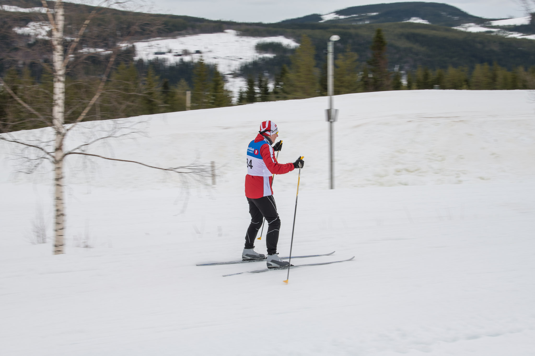 20190330-1154-351.jpg