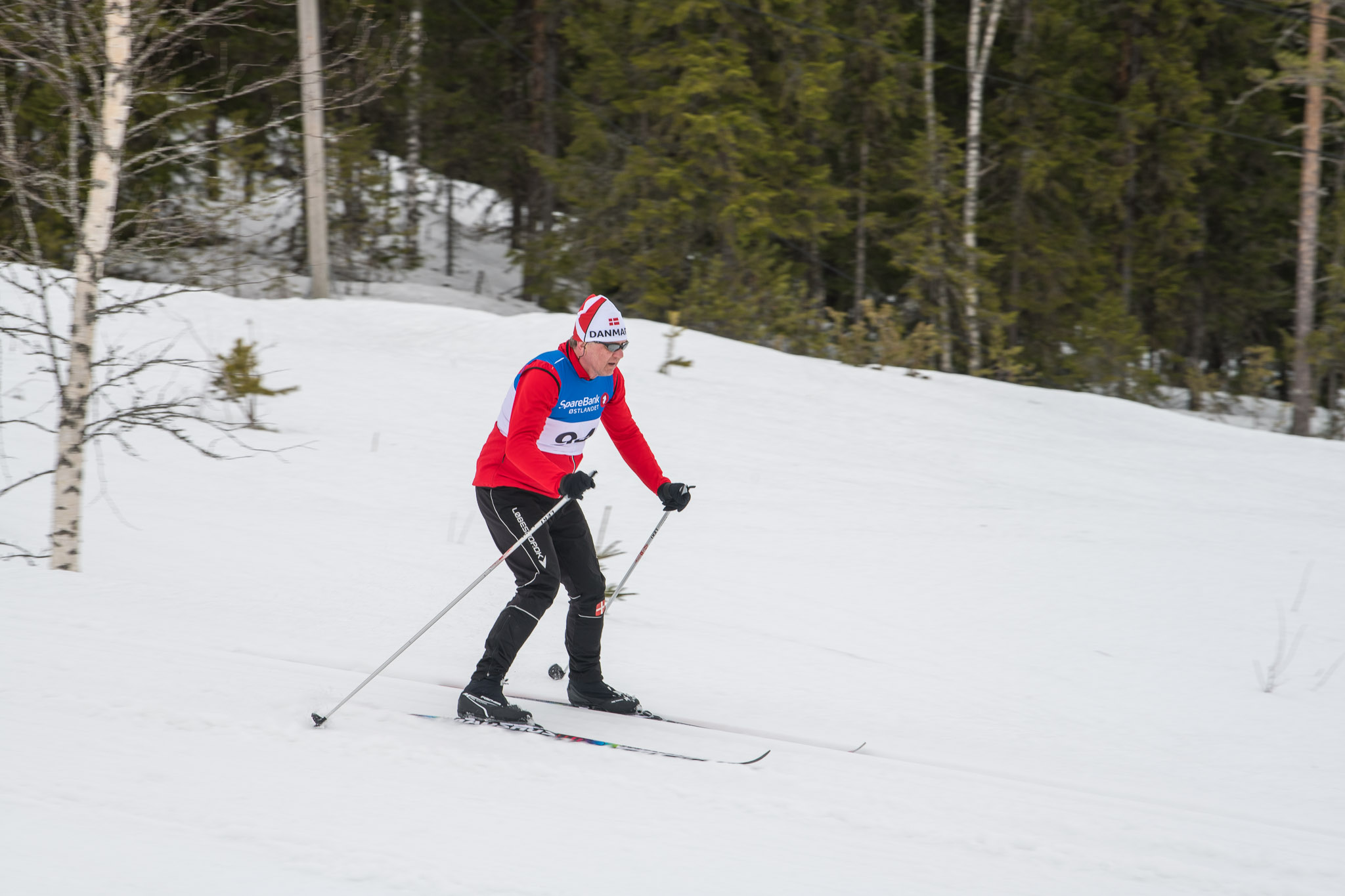 20190330-1157-364.jpg