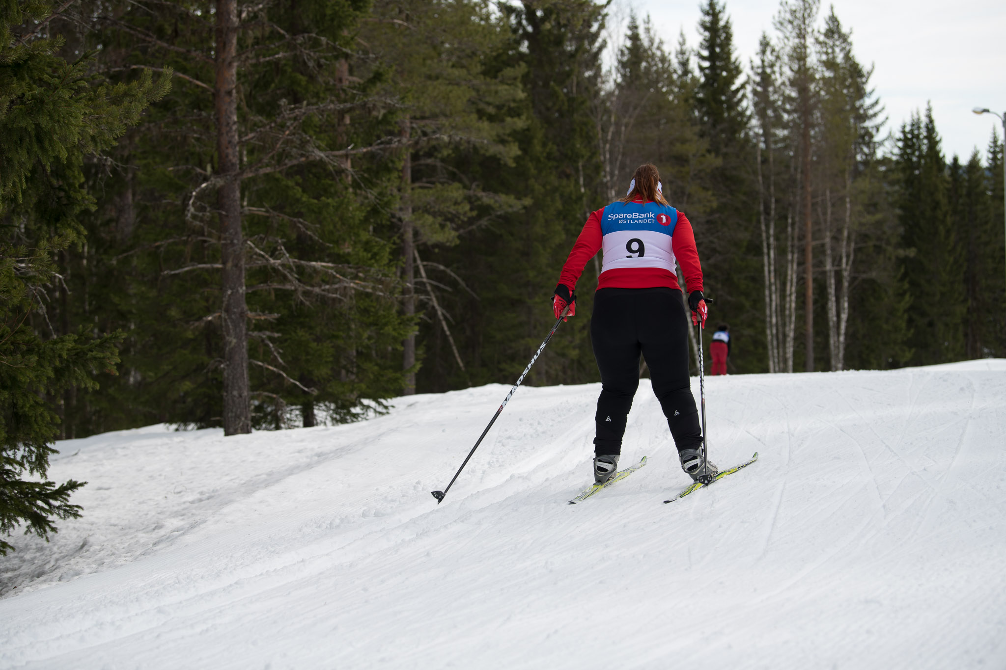 20190327-1126-263.jpg