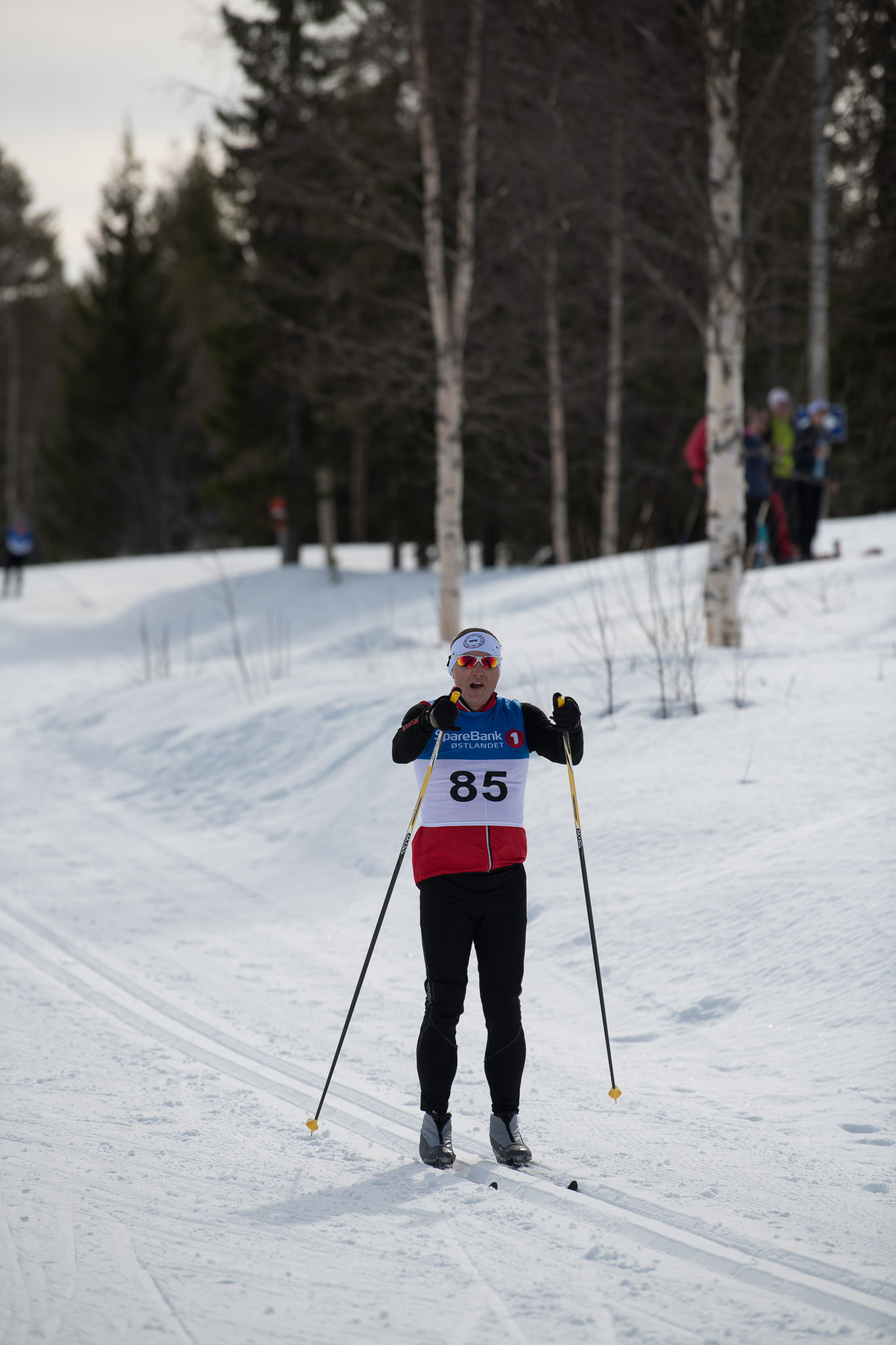 20190327-1210-385.jpg