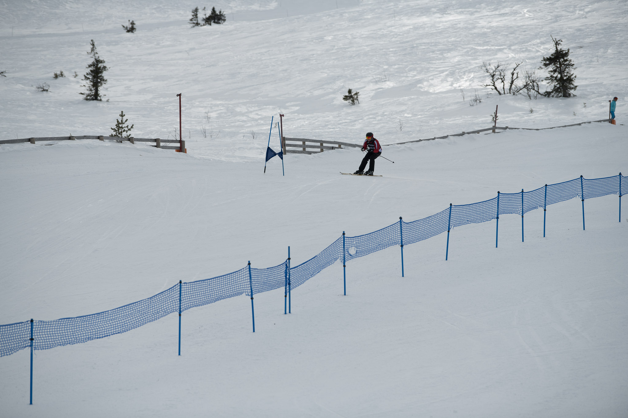 20190326-1329-406.jpg