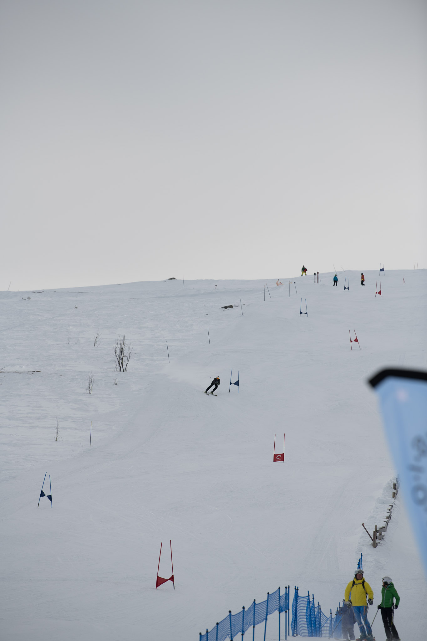 20190326-1340-428.jpg