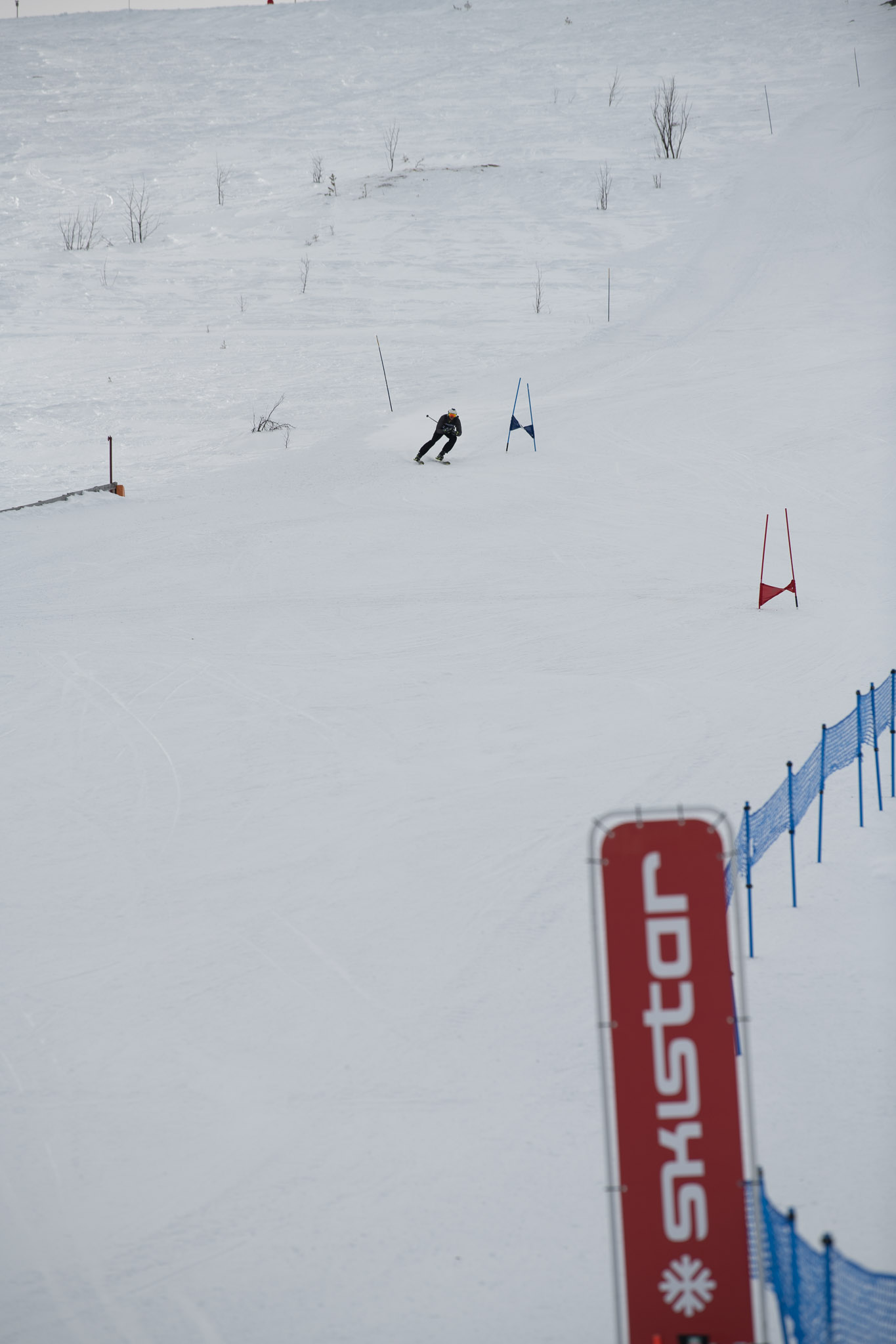 20190326-1340-430.jpg