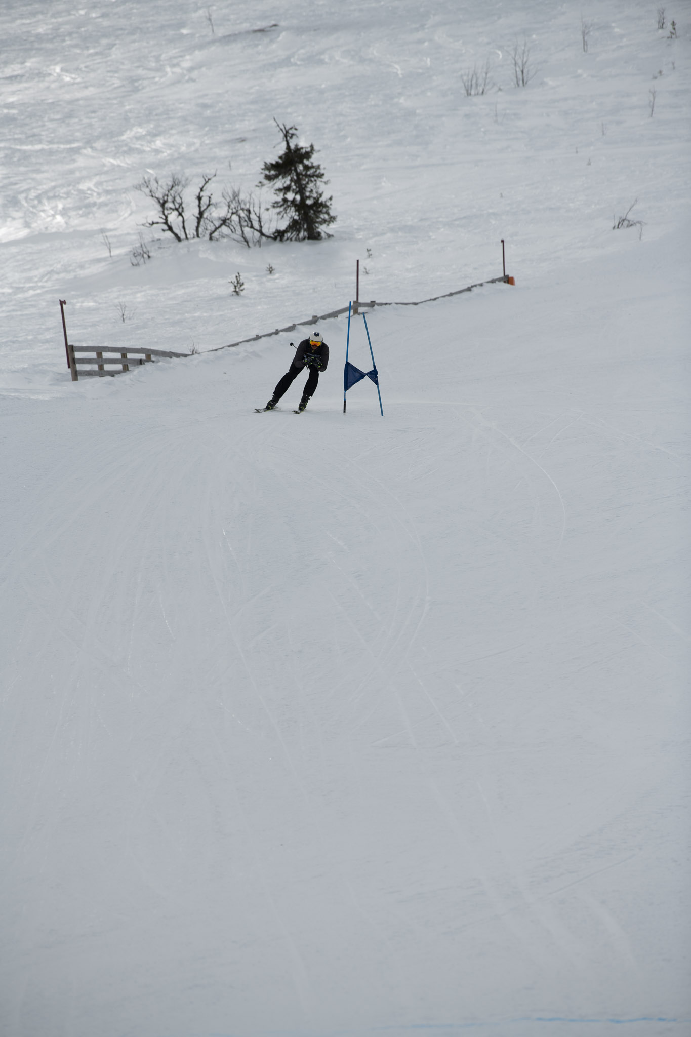 20190326-1340-432.jpg