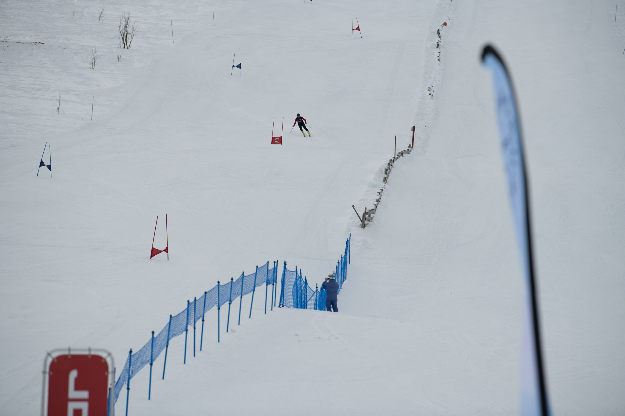 20190326-1340-439.jpg