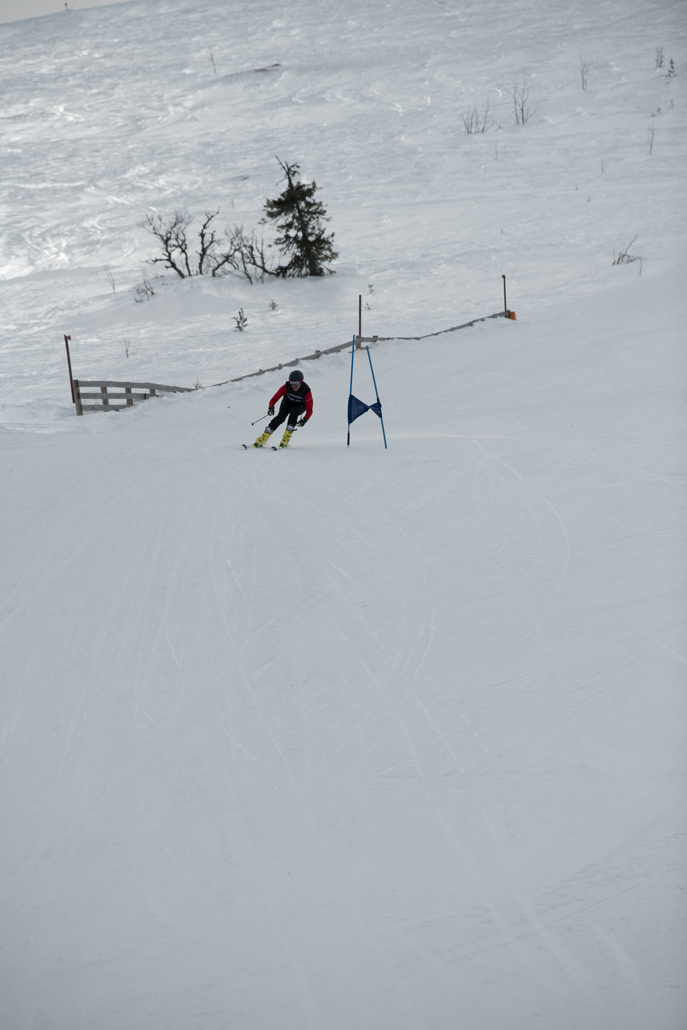 20190326-1340-442.jpg