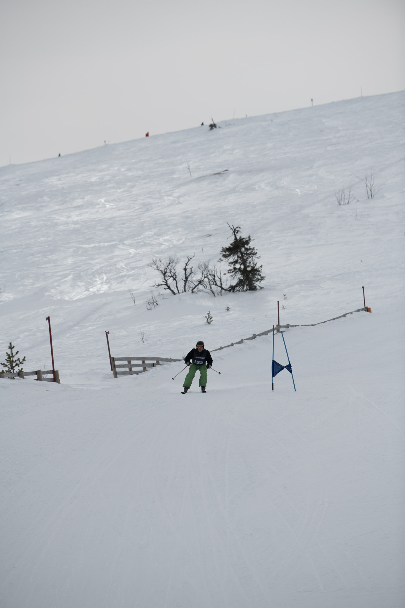 20190326-1347-467.jpg