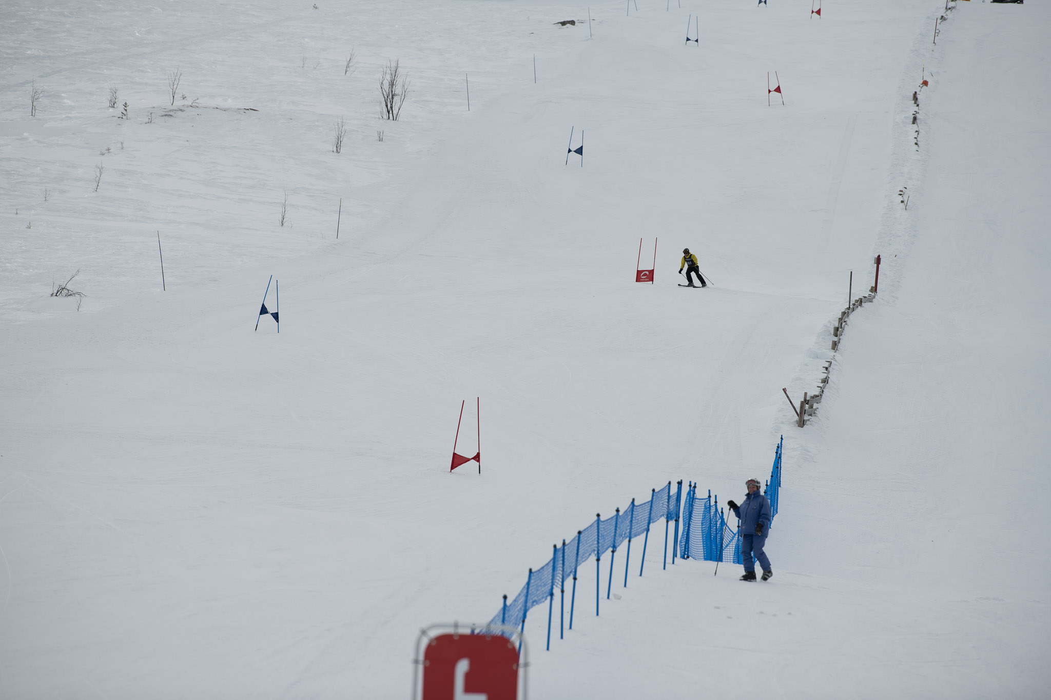 20190326-1349-475.jpg