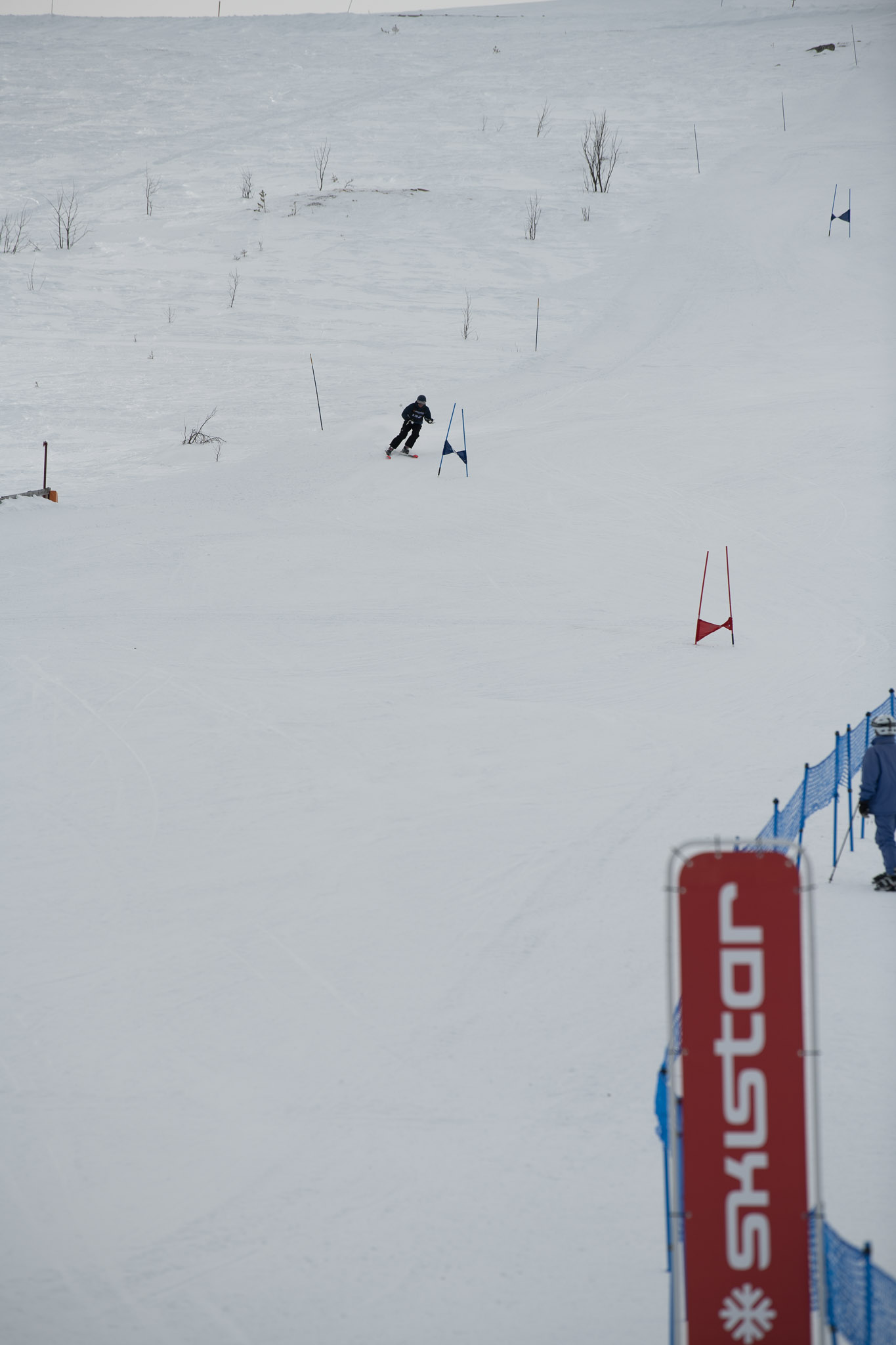 20190326-1350-486.jpg
