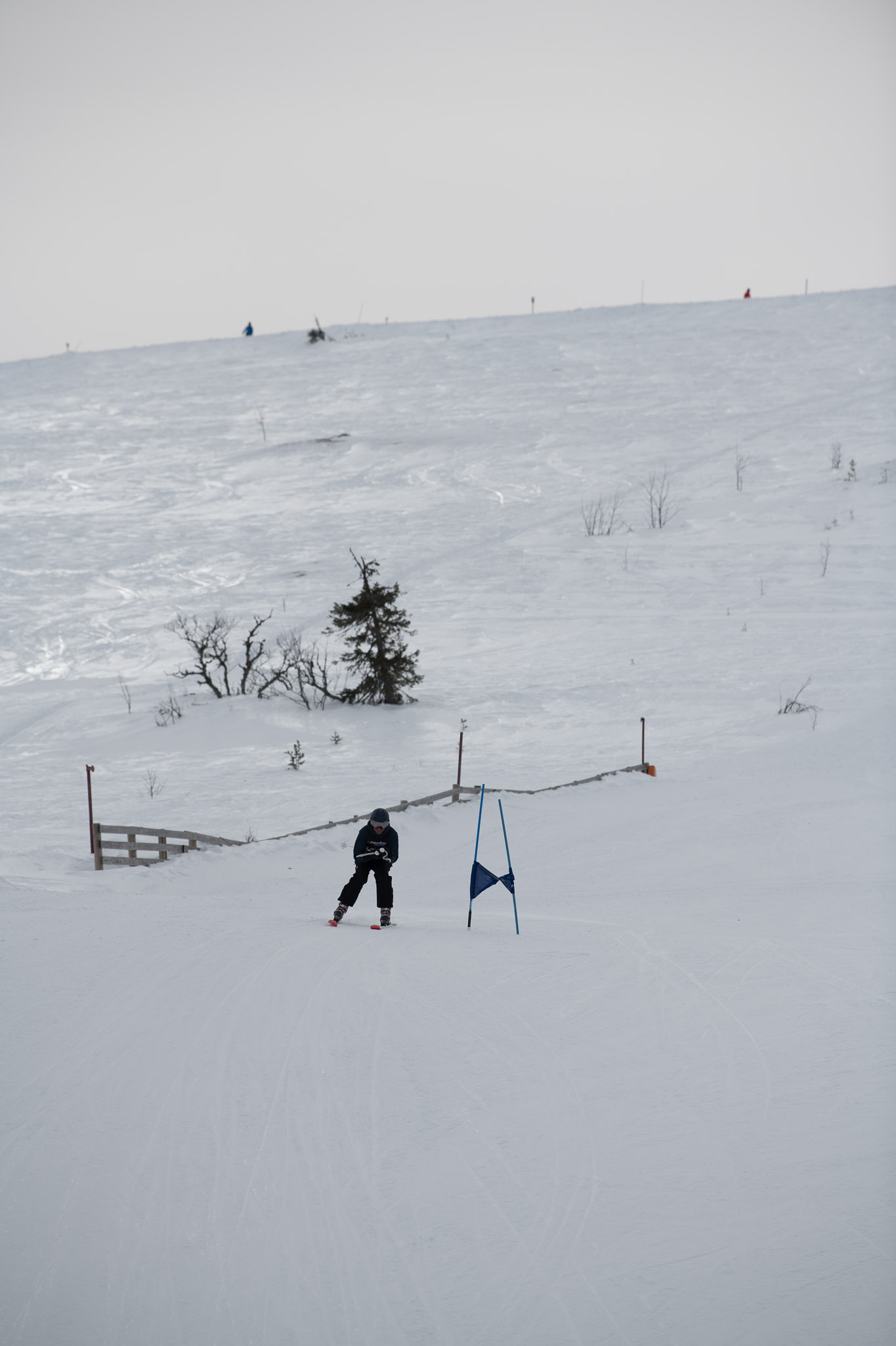 20190326-1350-489.jpg
