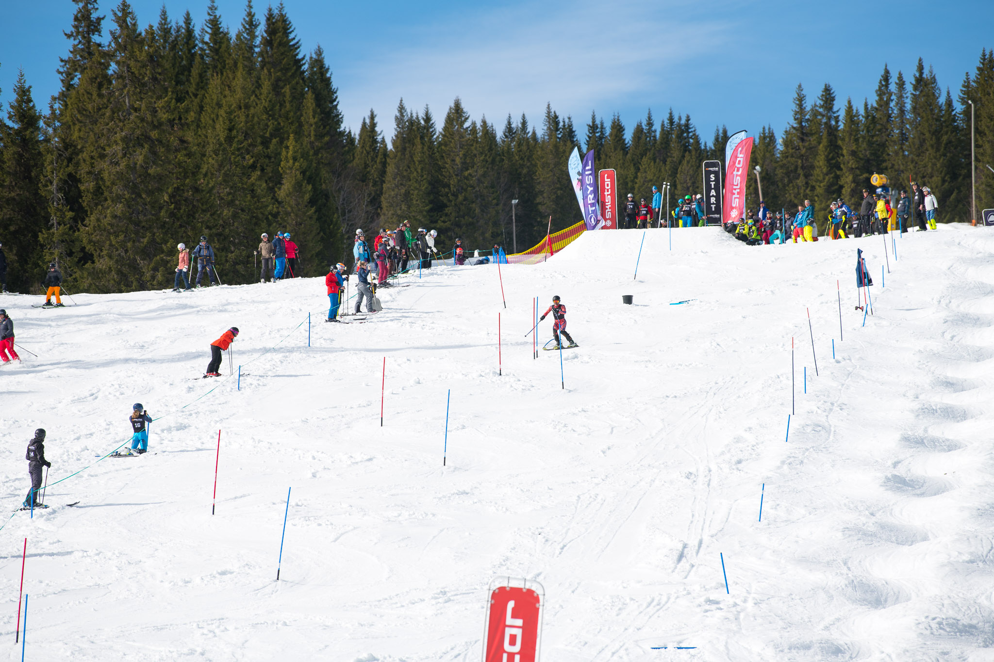 20190329-1210-159.jpg