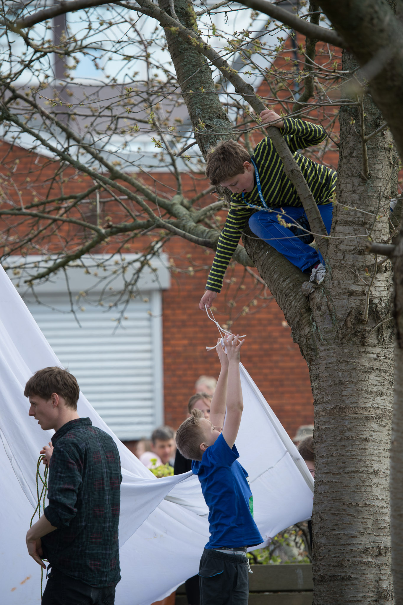 20130505-1243-0145.jpg